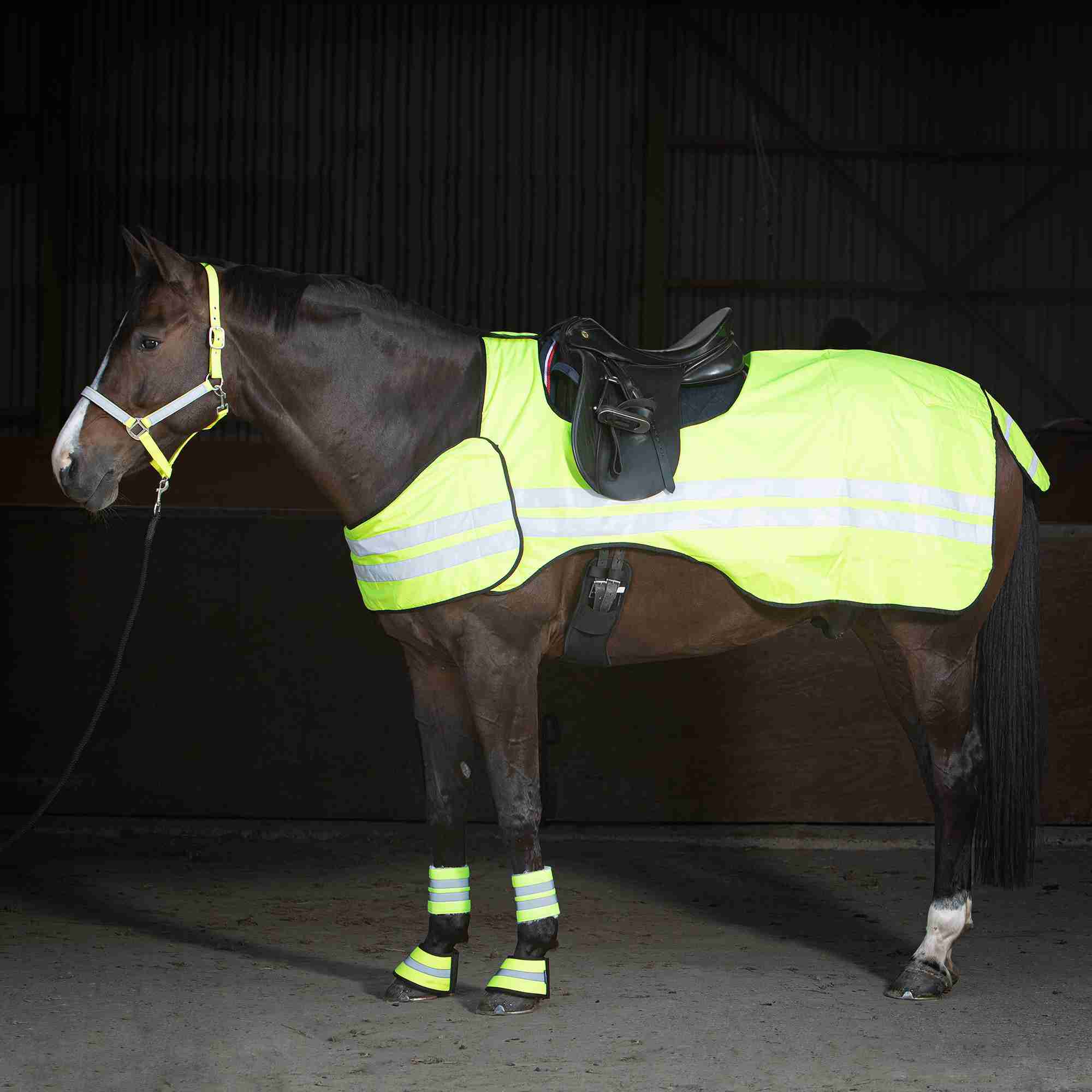 Harry's Horse Halster Reflective - Afbeelding 4