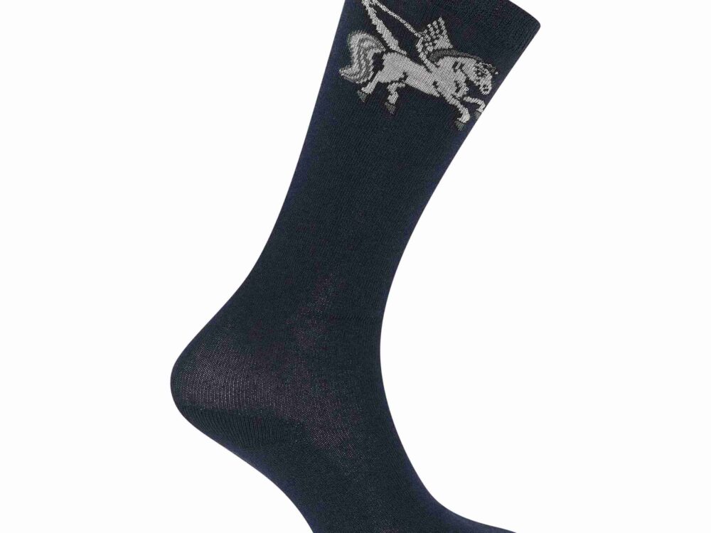 Sokken IRHPegasus