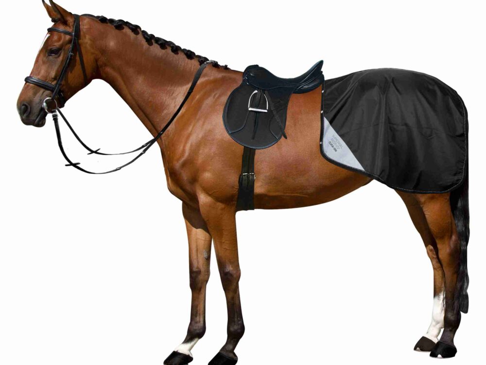 Winter exercise blanket IRHMultiride