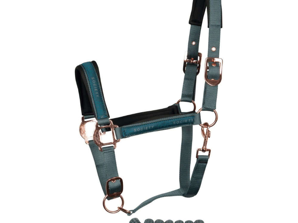 Harry's Horse Halsterset Equestrian Society