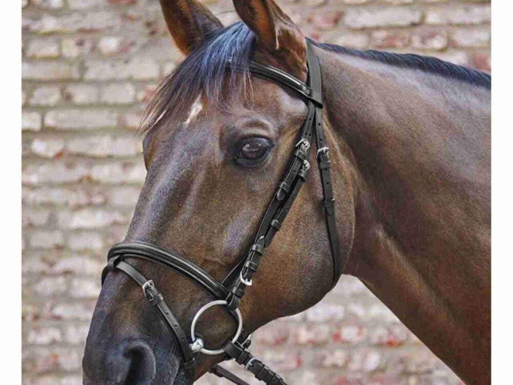 Star Hoofdstel Basic