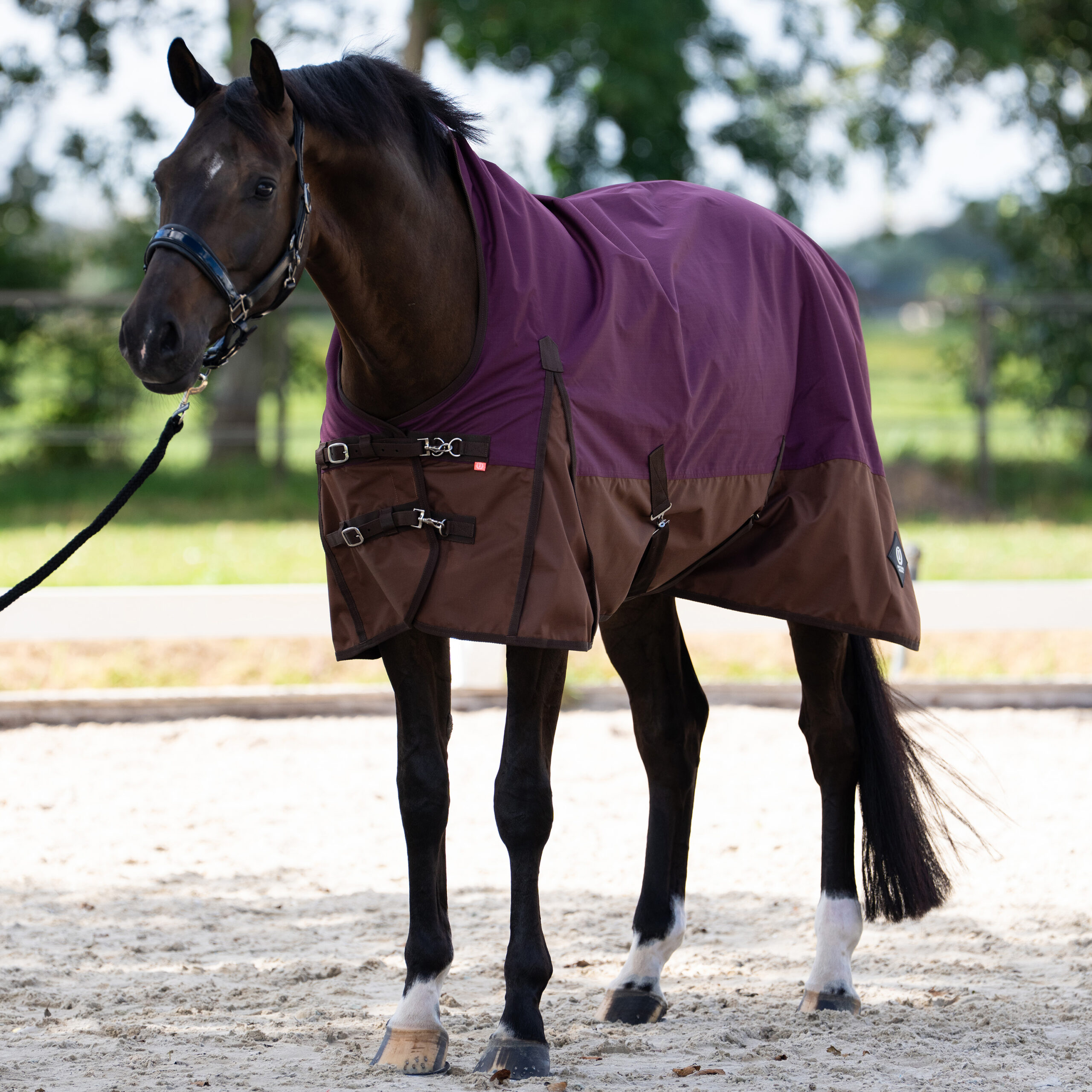 Imperial Riding Outdoordeken IRHCustomized met hoge hals 200gr - Afbeelding 5