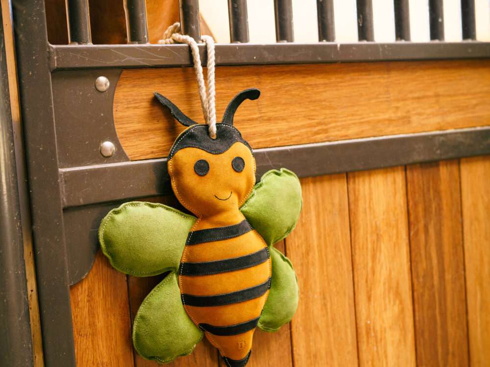  Stable buddy Bee happy