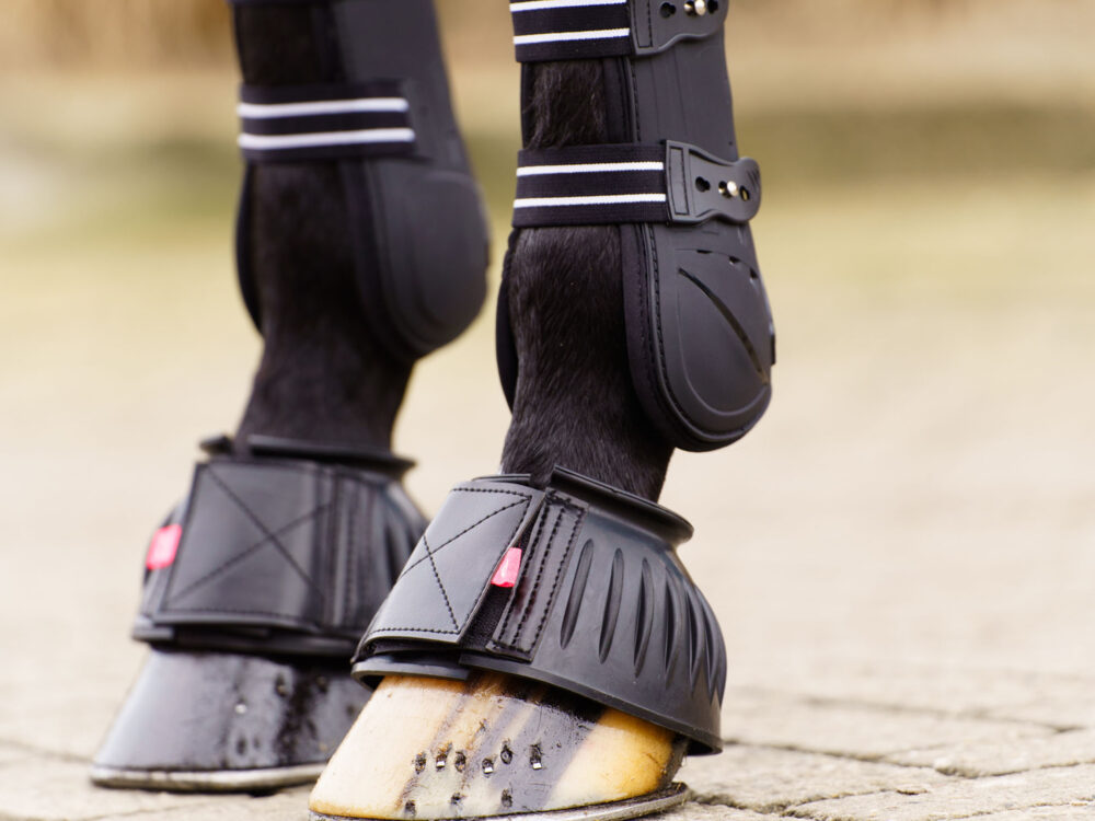 Springschoenen IRHBells