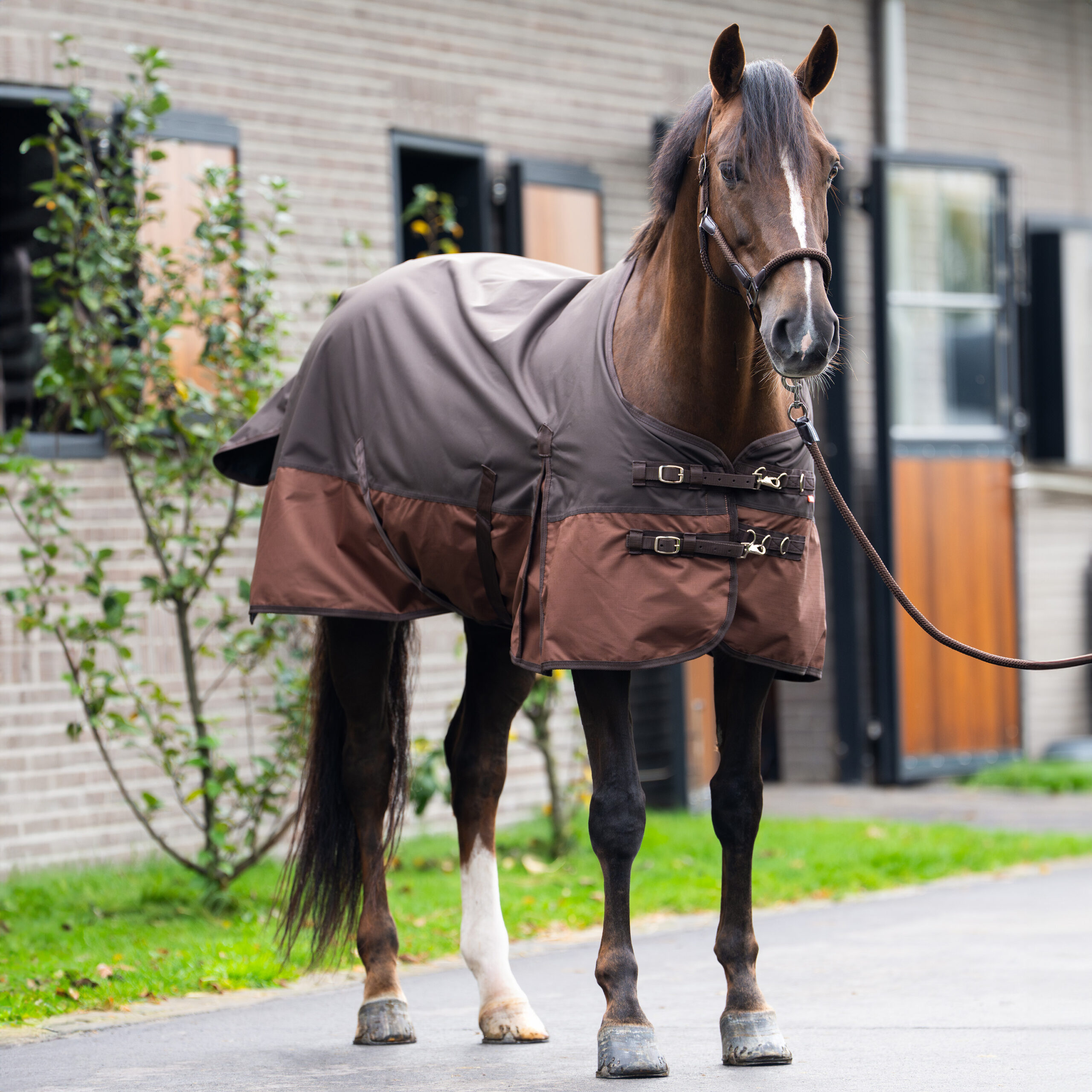 Imperial Riding Outdoordeken IRHCustomized zonder hals 400gr - Afbeelding 5