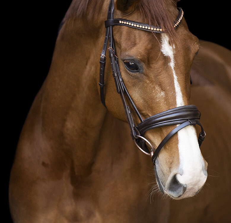 Imperial Riding Hoofdstel  Fria trens