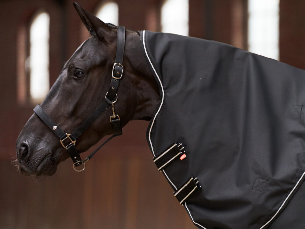 Imperial Riding Outdoordeken IRHBasic met afneembare hals 300gr