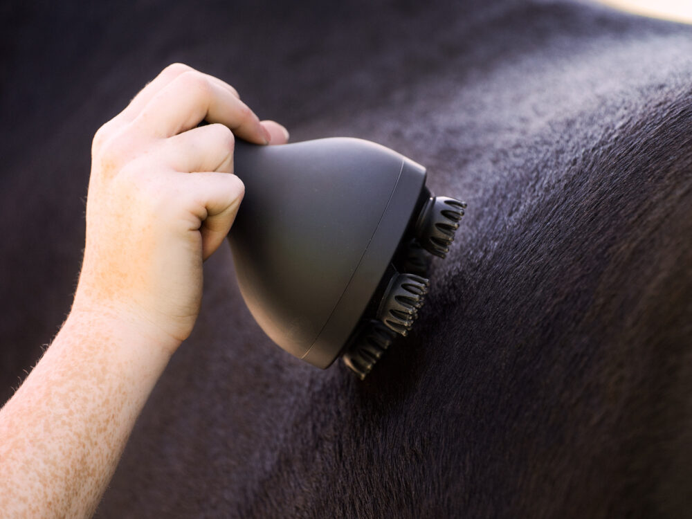 Imperial Riding Imperial Riding Grooming & Relaxation borstel  Volta
