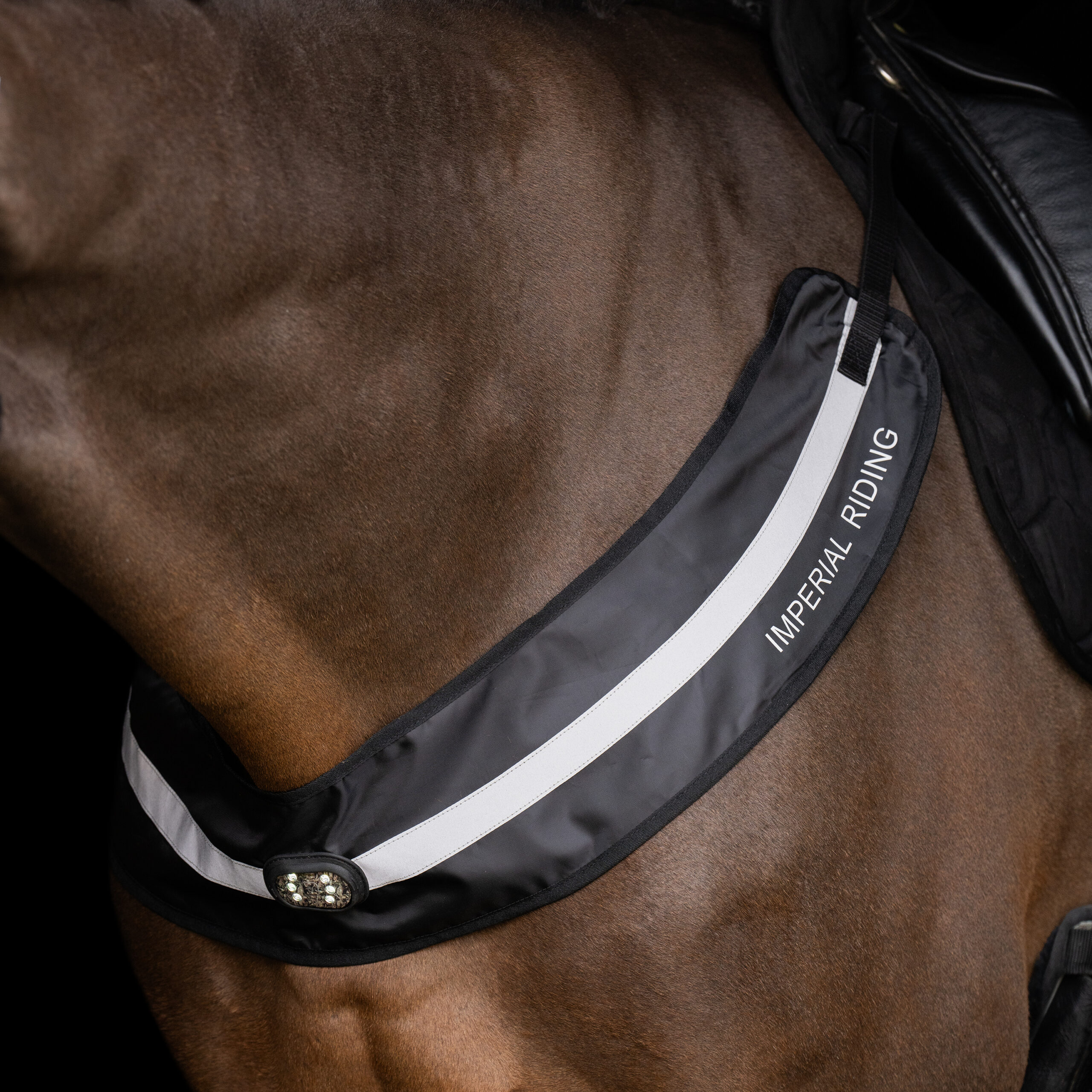 Imperial Riding Imperial Riding Borsttuig Luminous - Afbeelding 3