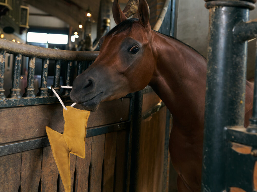Stable buddy Lightning bolt