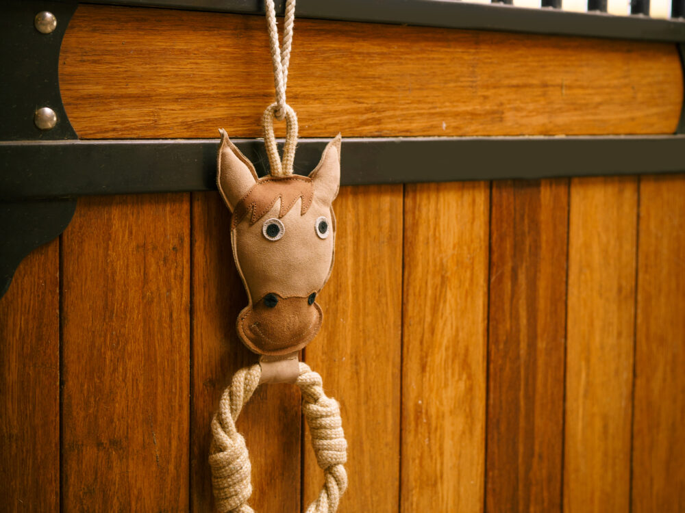  Stable buddy Rope horse