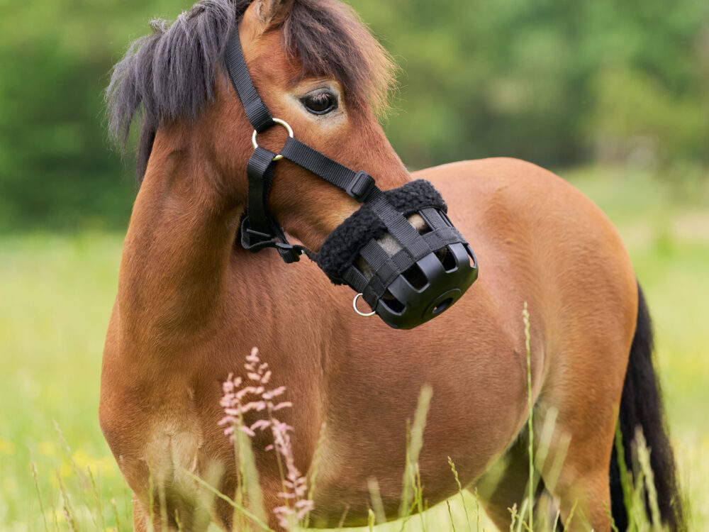 Imperial Riding Imperial Riding Grasmasker met bont  