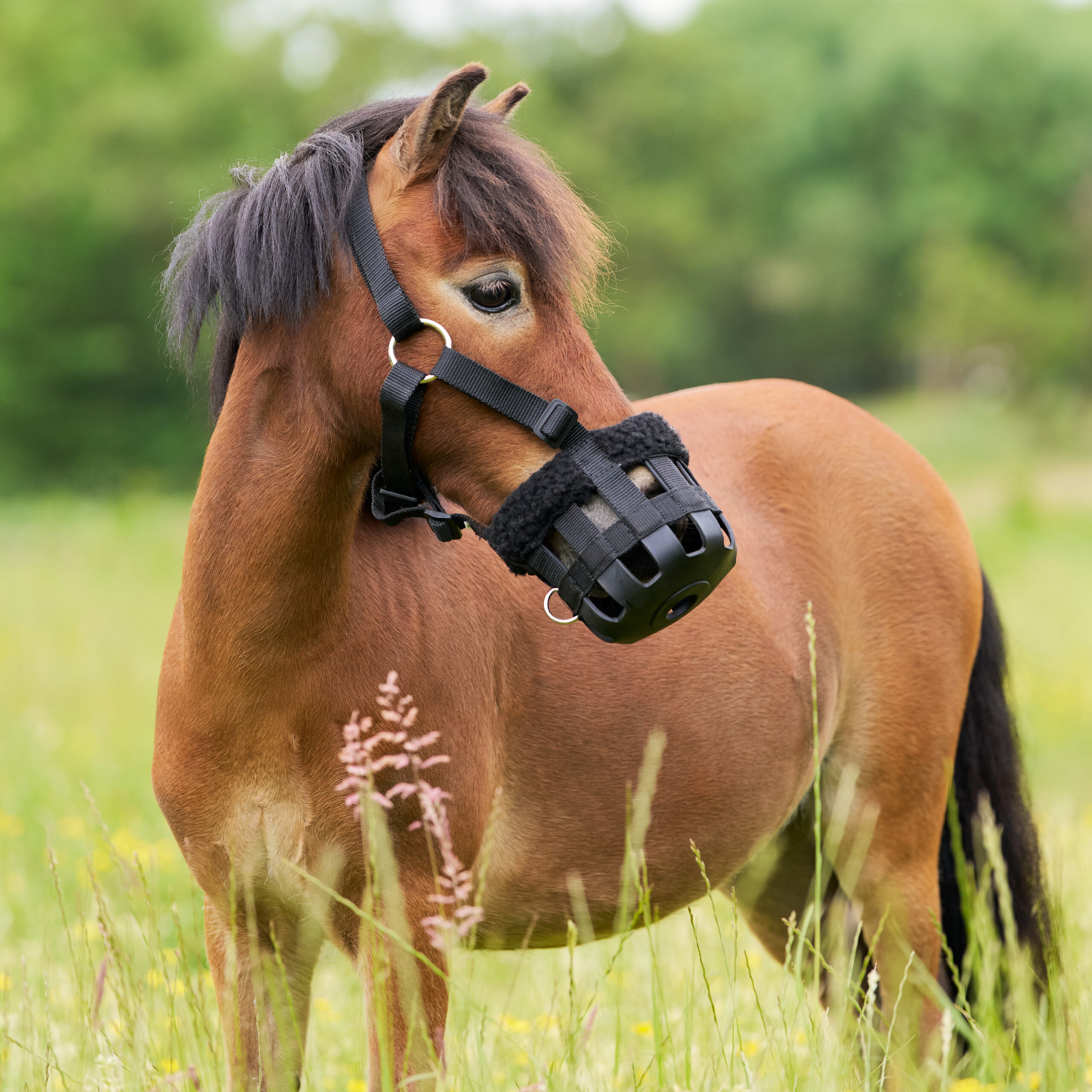 Imperial Riding Imperial Riding Grasmasker met bont