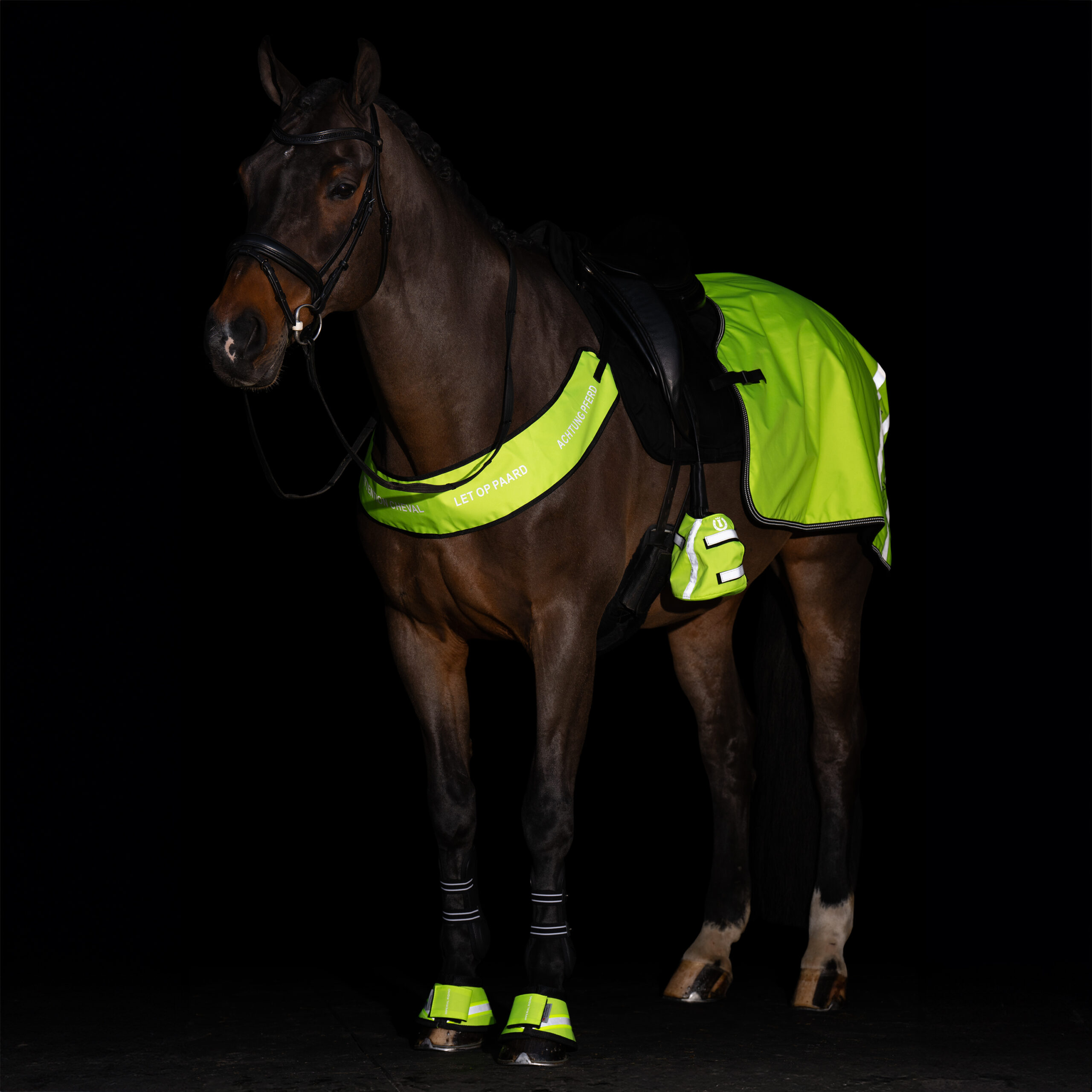Imperial Riding Imperial Riding Borsttuig Reflective - Afbeelding 3