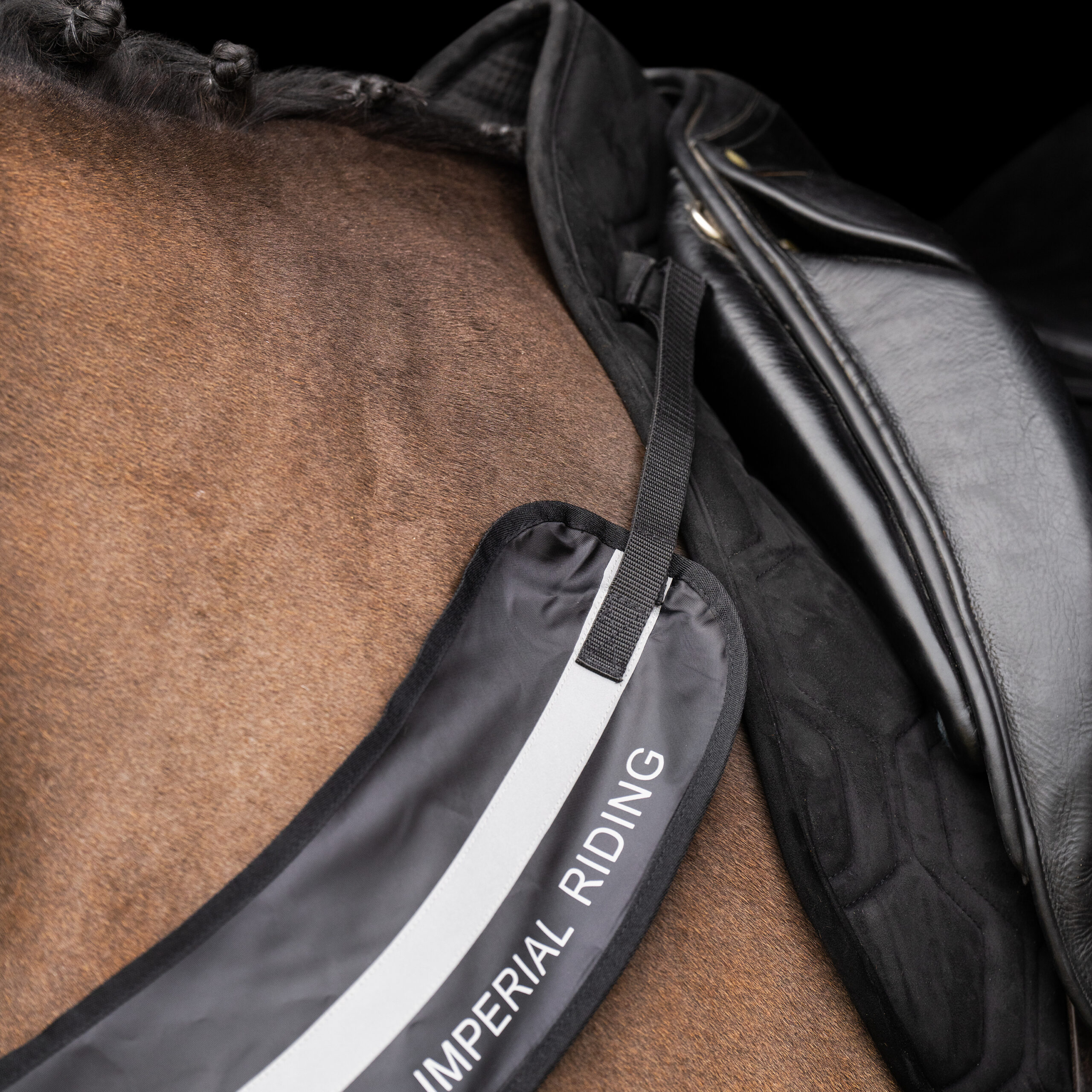 Imperial Riding Imperial Riding Borsttuig Luminous - Afbeelding 4