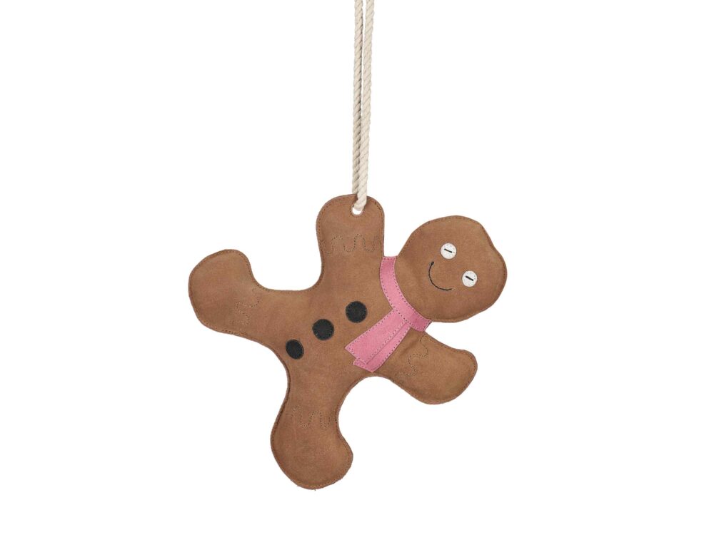  Stable buddy Gingerbread man