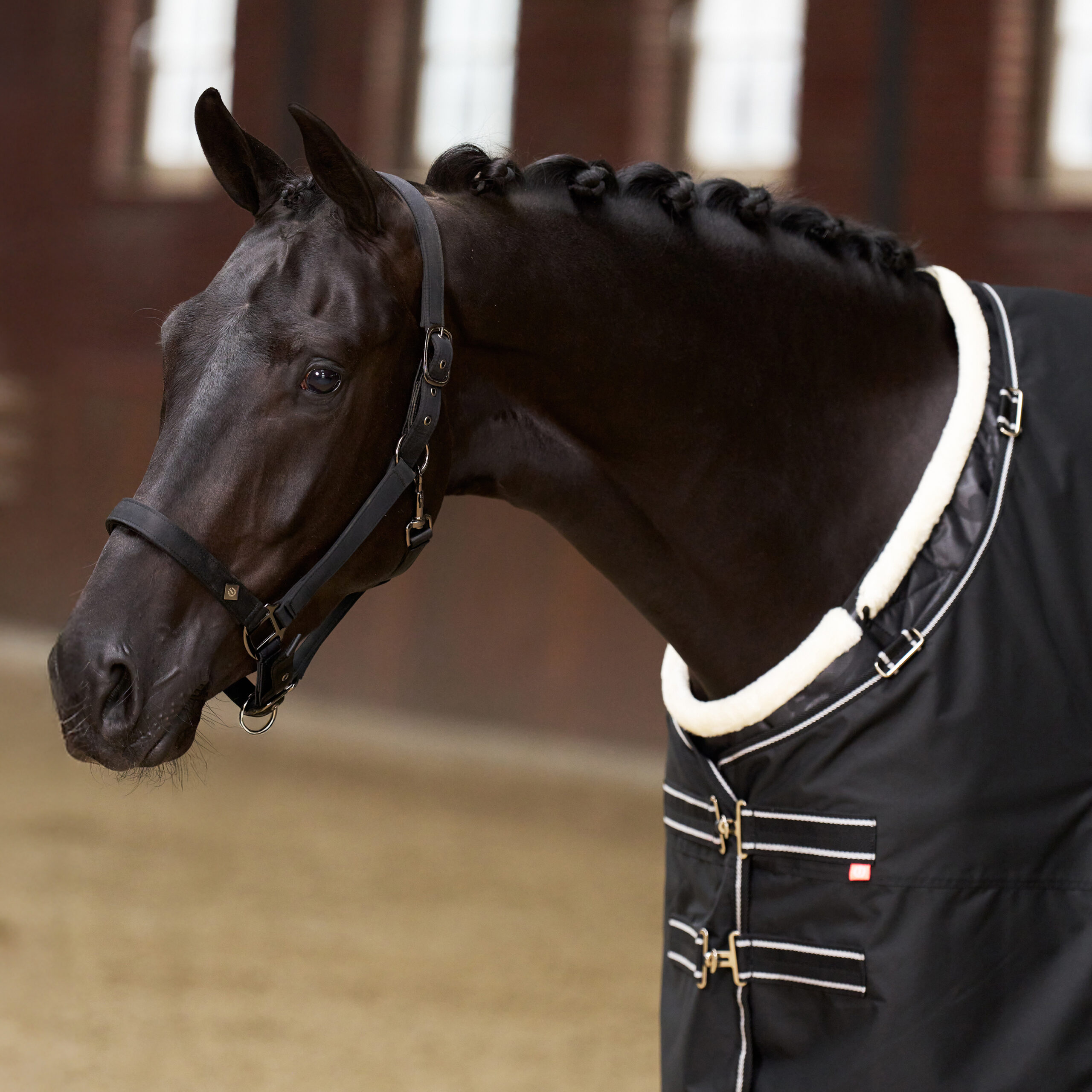Imperial Riding Imperial Riding Borstbeschermer Super-dry - Afbeelding 3