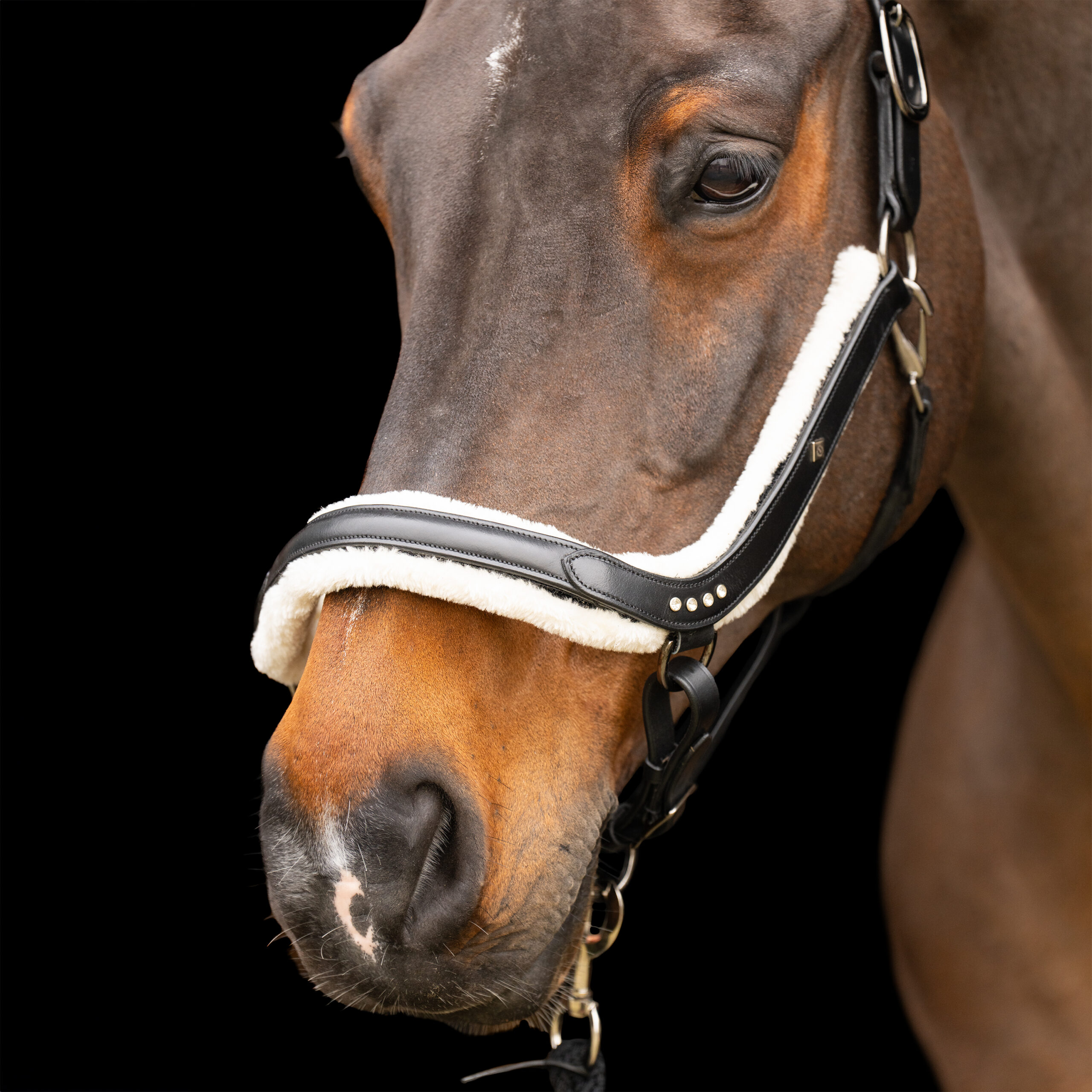 Imperial RidingImperial RidingHalster Luxury - Afbeelding 3
