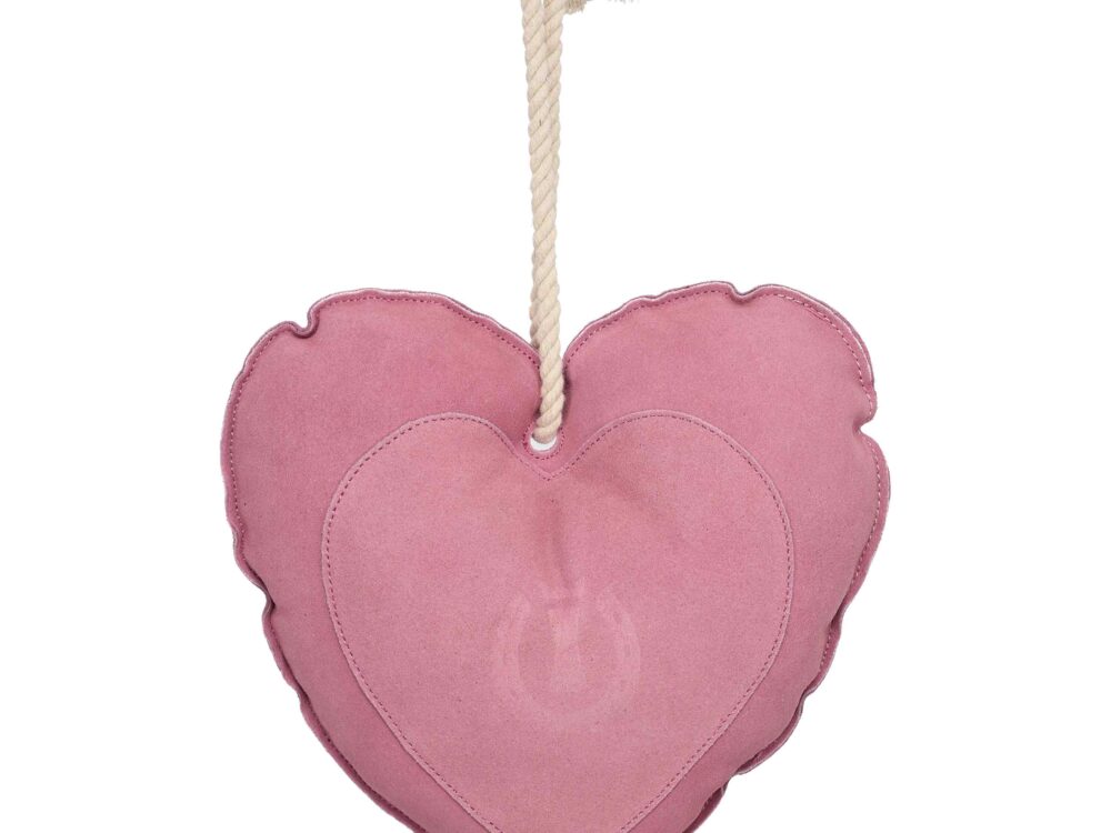  Stable buddy Heart