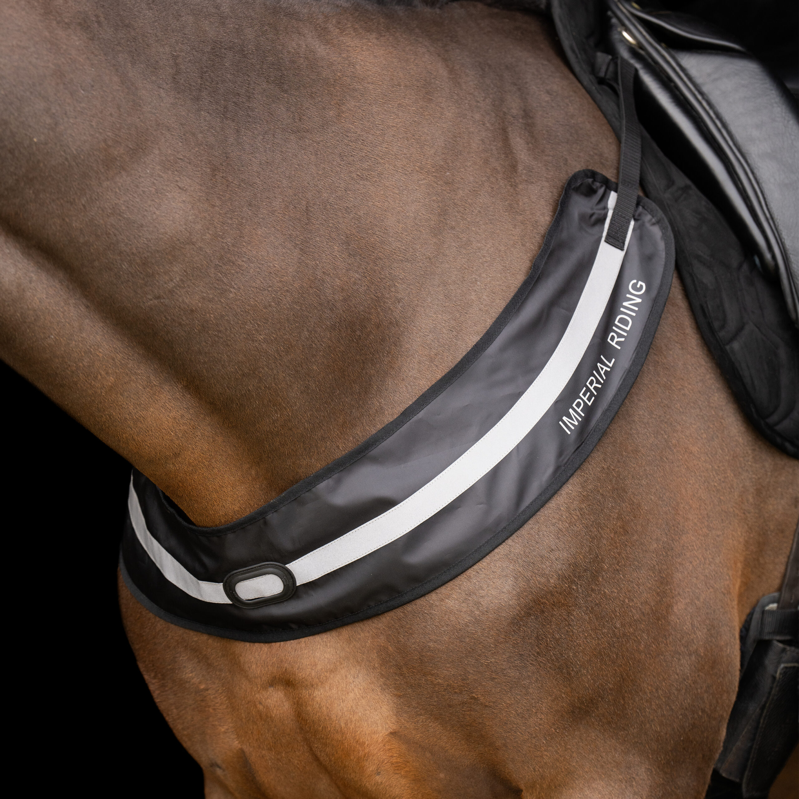 Imperial Riding Imperial Riding Borsttuig Luminous - Afbeelding 2