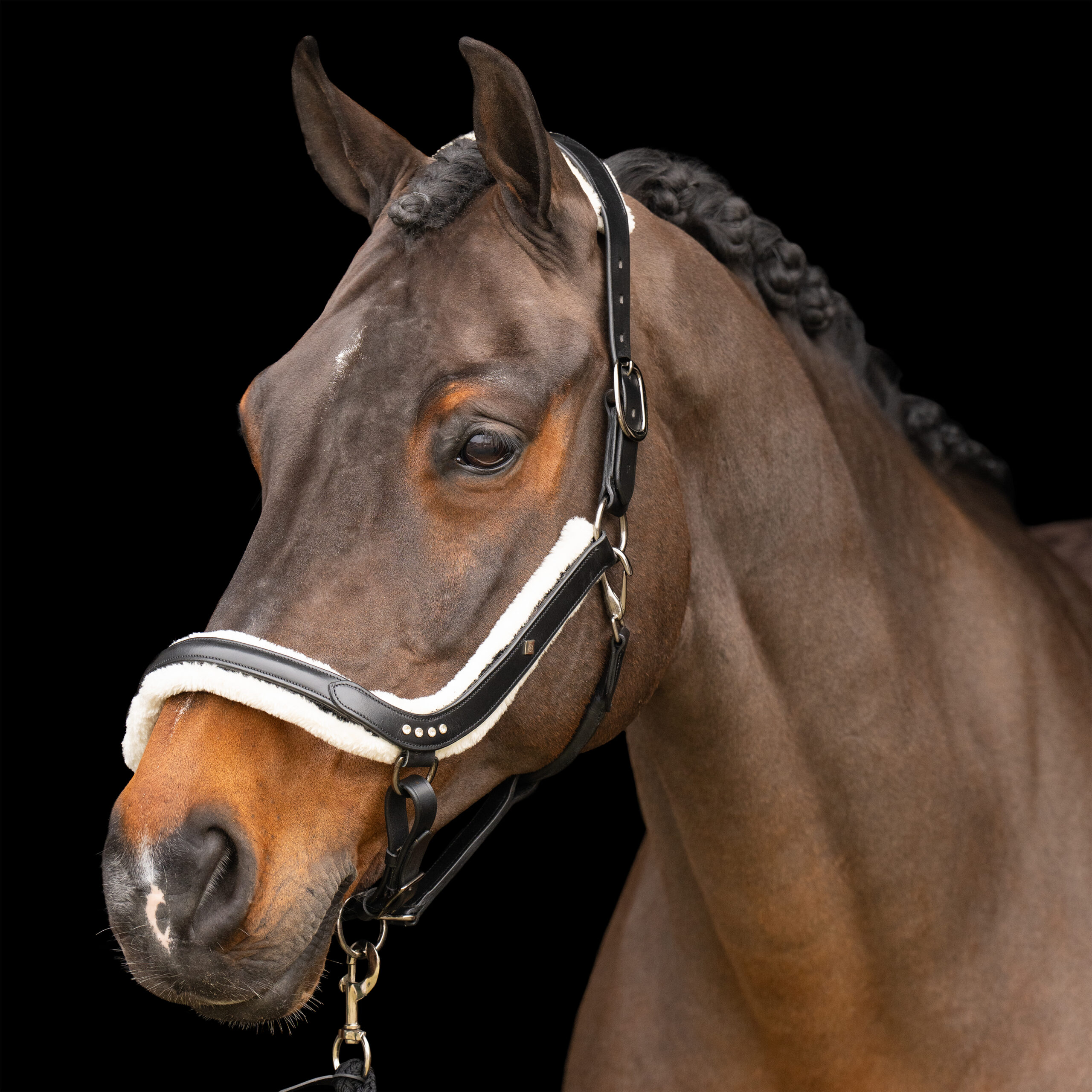 Imperial RidingImperial RidingHalster Luxury - Afbeelding 4