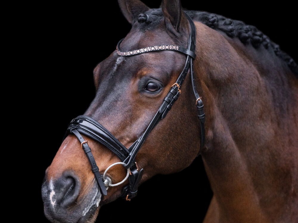 Imperial Riding Hoofdstel  Olympia