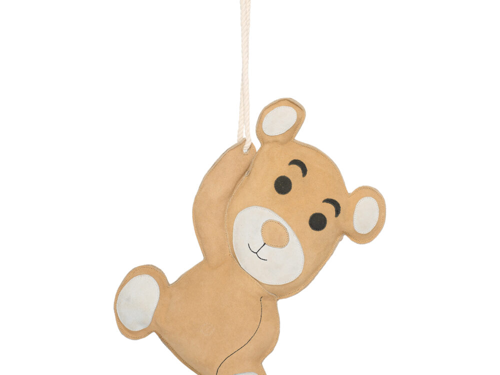  Stable buddy Teddy