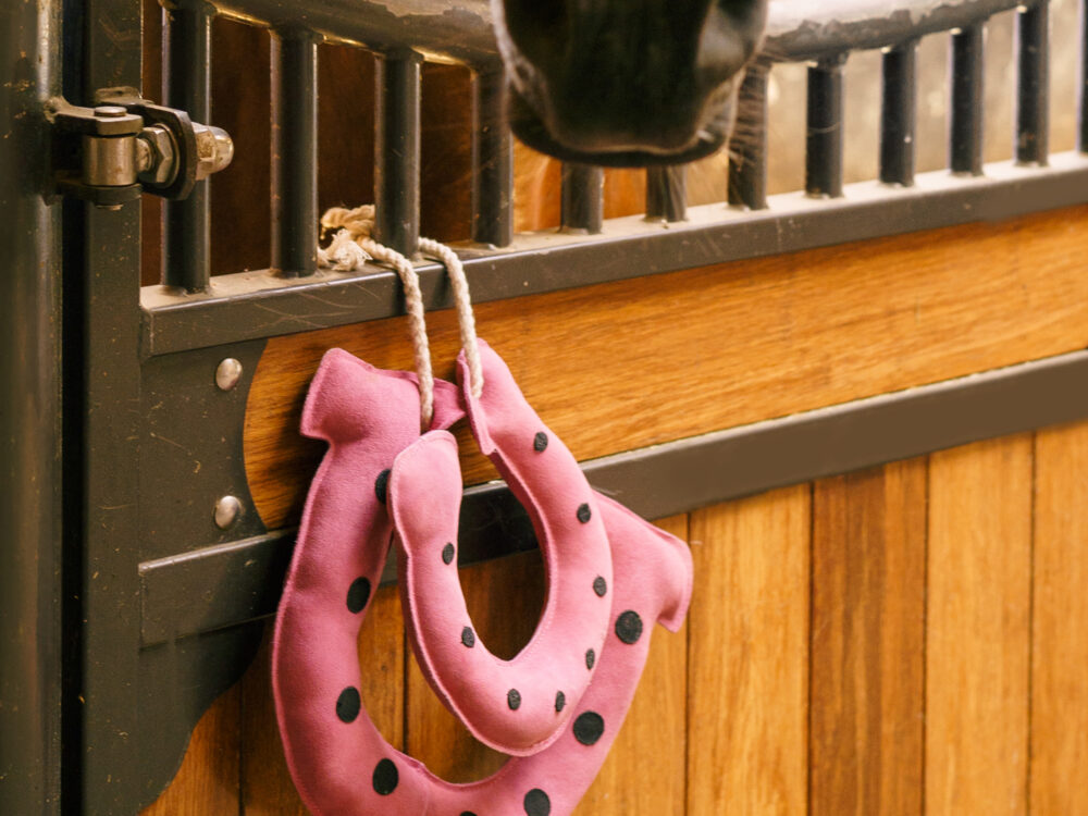  Stable buddy Horseshoes