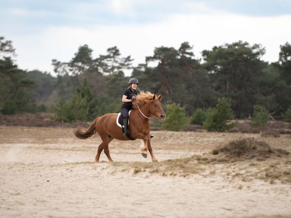 Imperial Riding Nekriem IRHFree Ride