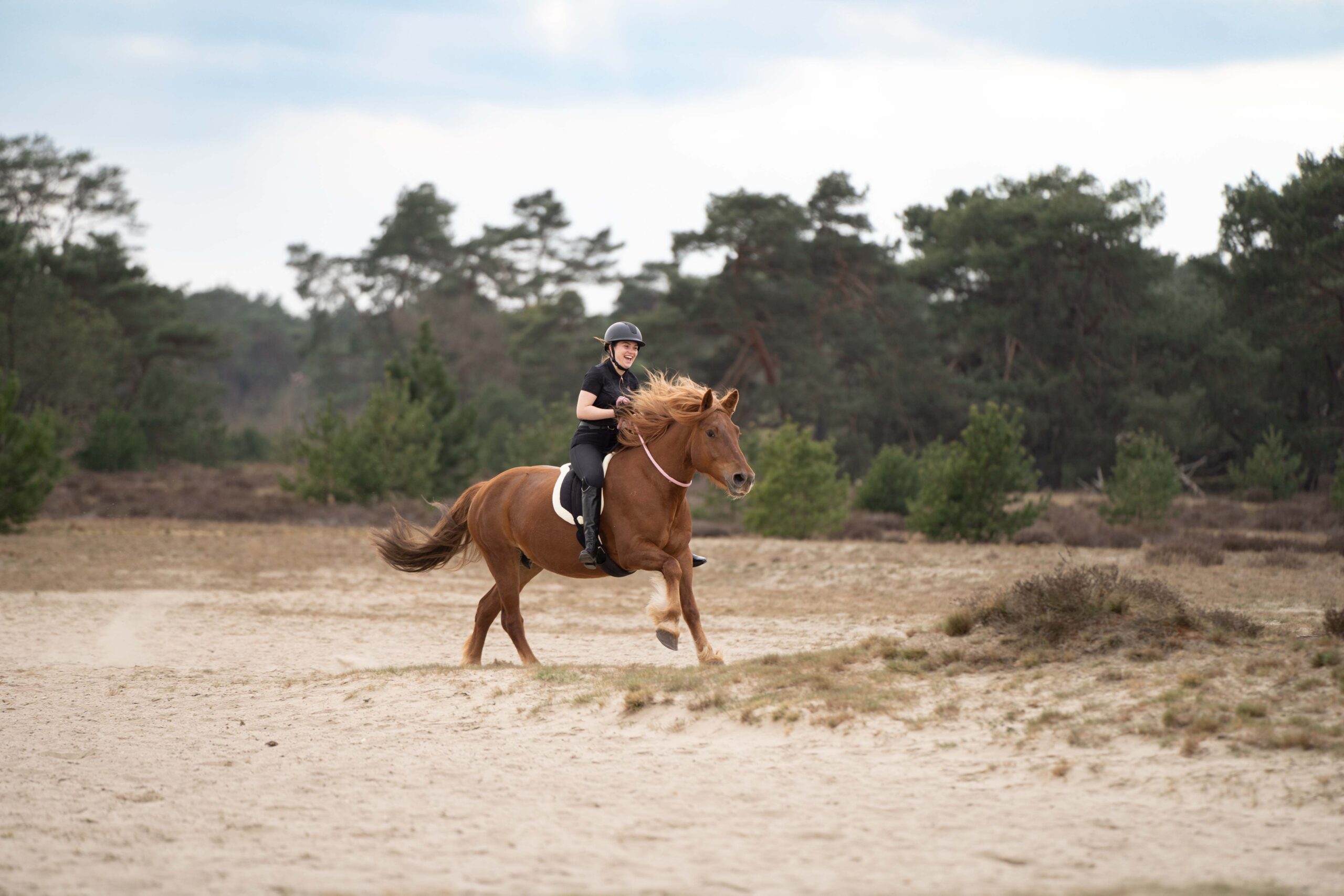 Imperial Riding Nekriem IRHFree Ride