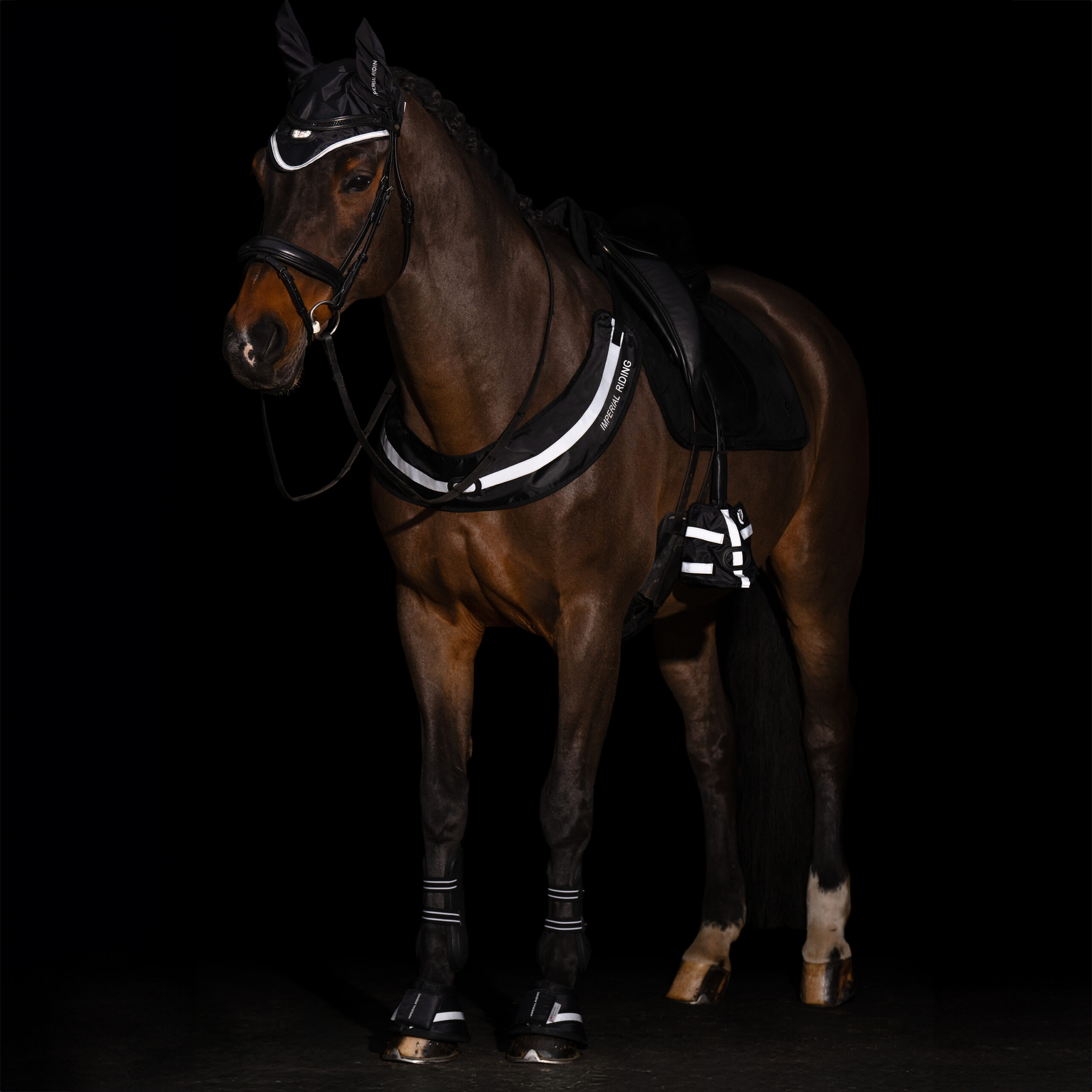 Imperial Riding Imperial Riding Borsttuig Luminous - Afbeelding 6