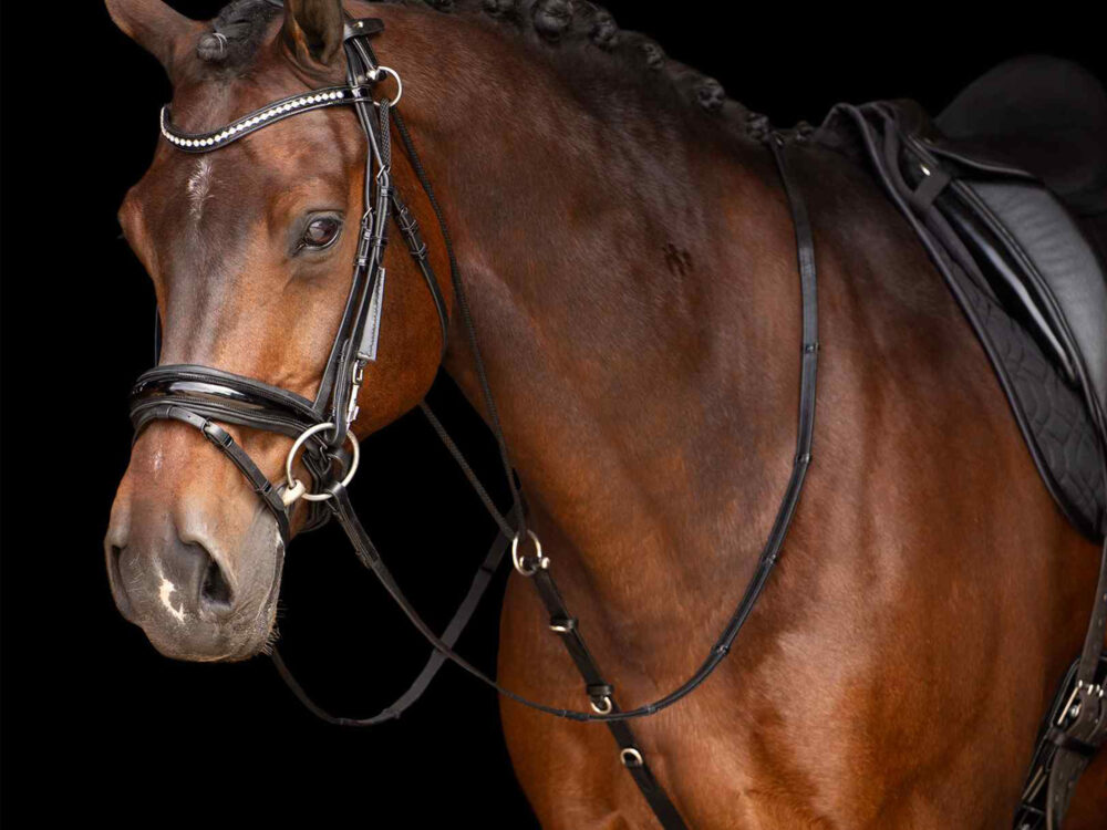Imperial Riding Imperial Riding Chambon  Core