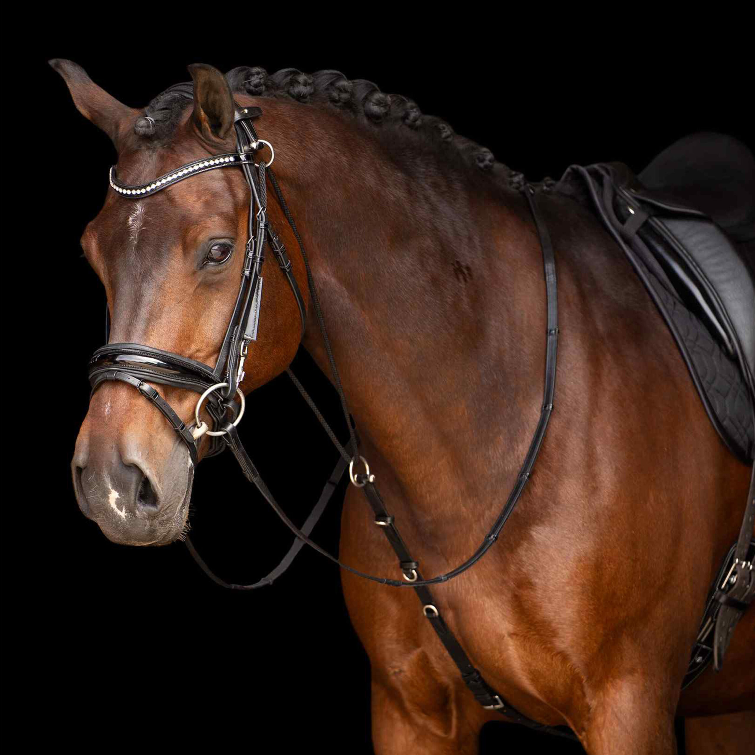 Imperial Riding Imperial Riding Chambon Core