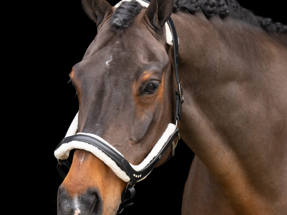 Imperial RidingImperial RidingHalster  Luxury