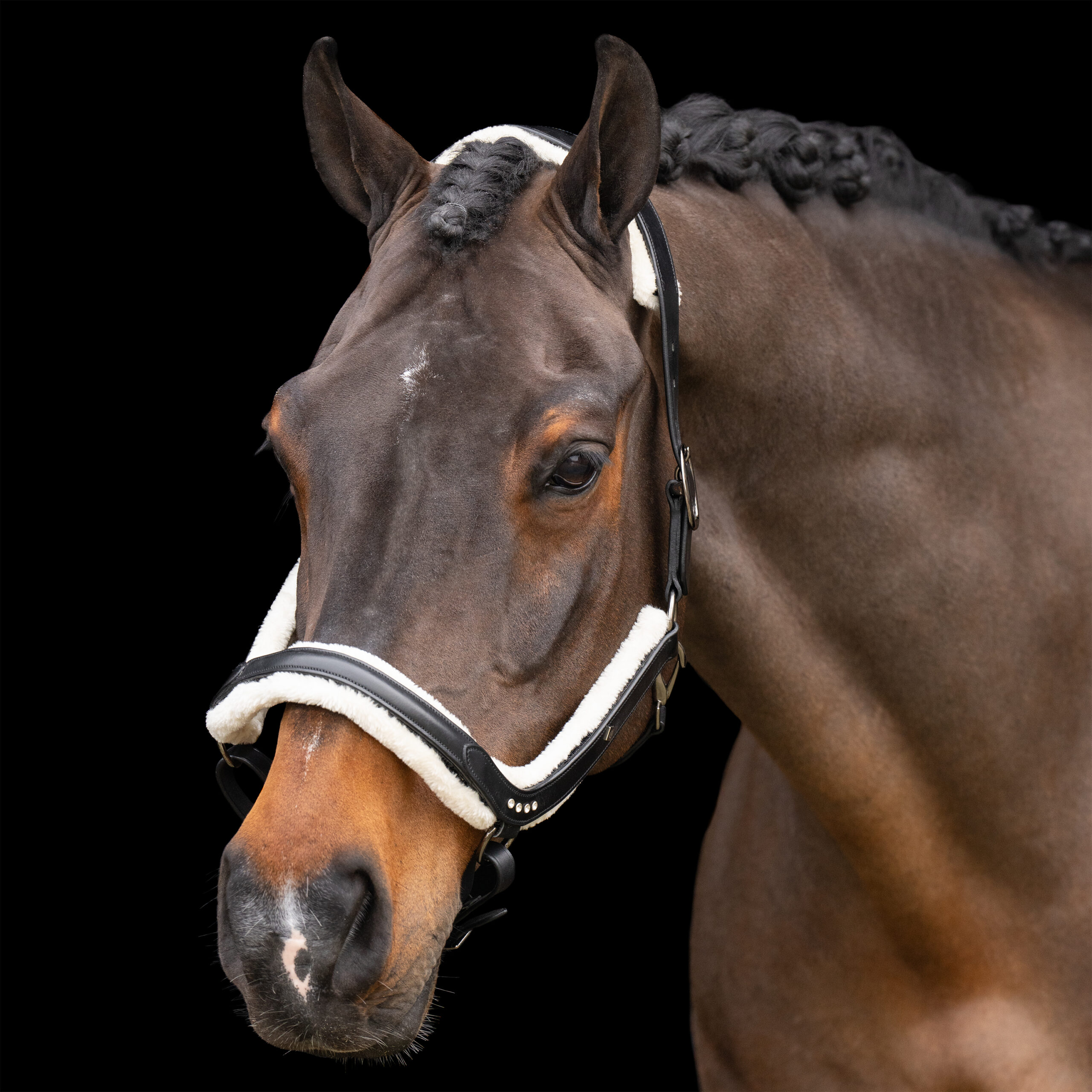 Imperial RidingImperial RidingHalster Luxury