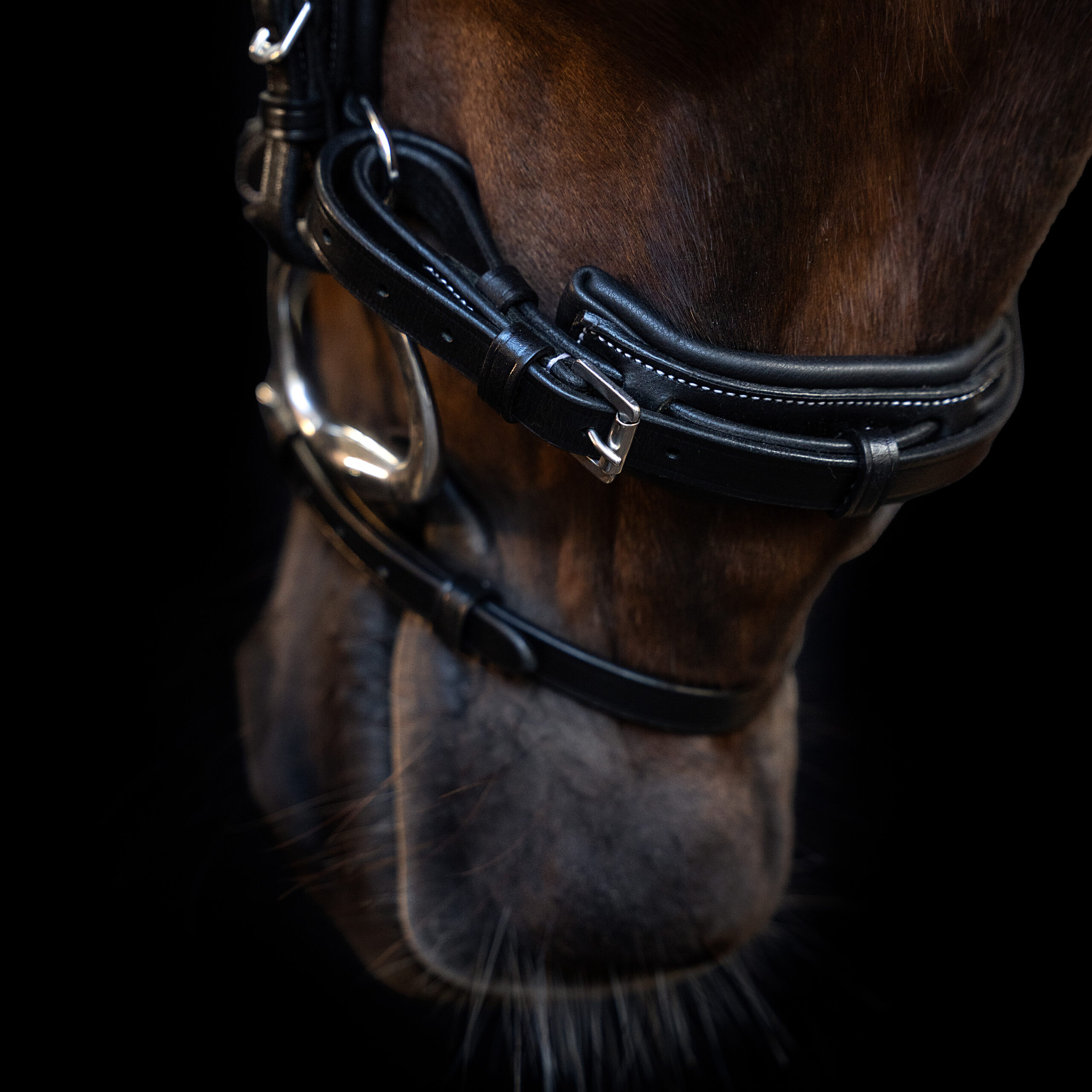 Imperial Riding HO40126001 Product Variation - Afbeelding 3