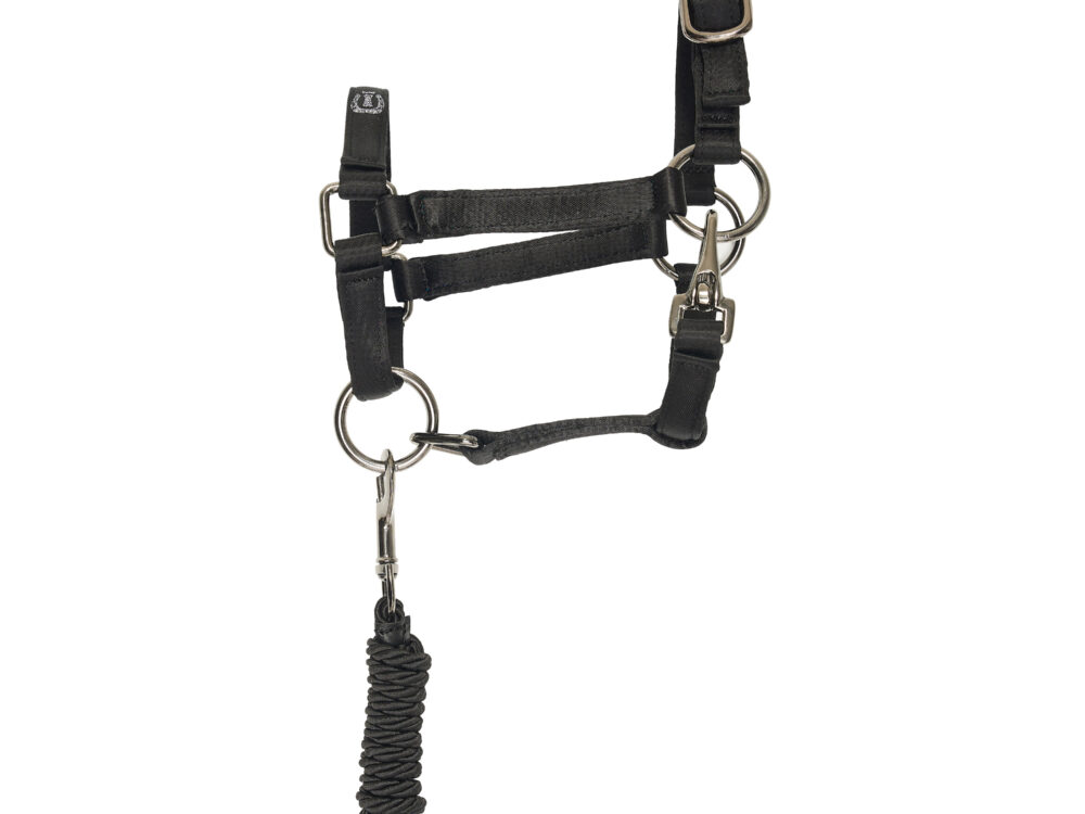 Imperial Riding Hobby Horse halster  Free Spirit