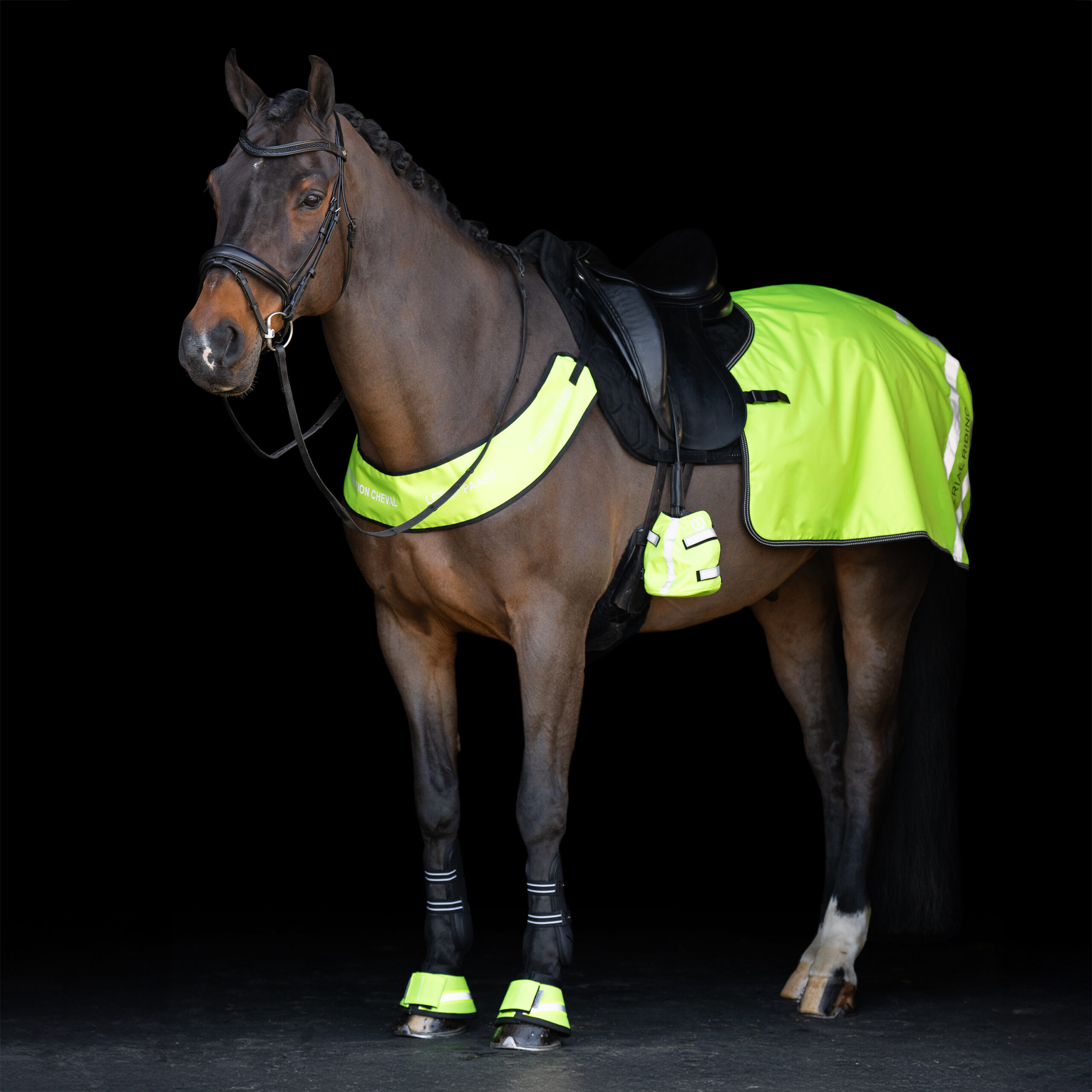 Imperial Riding Imperial Riding Borsttuig Reflective - Afbeelding 2