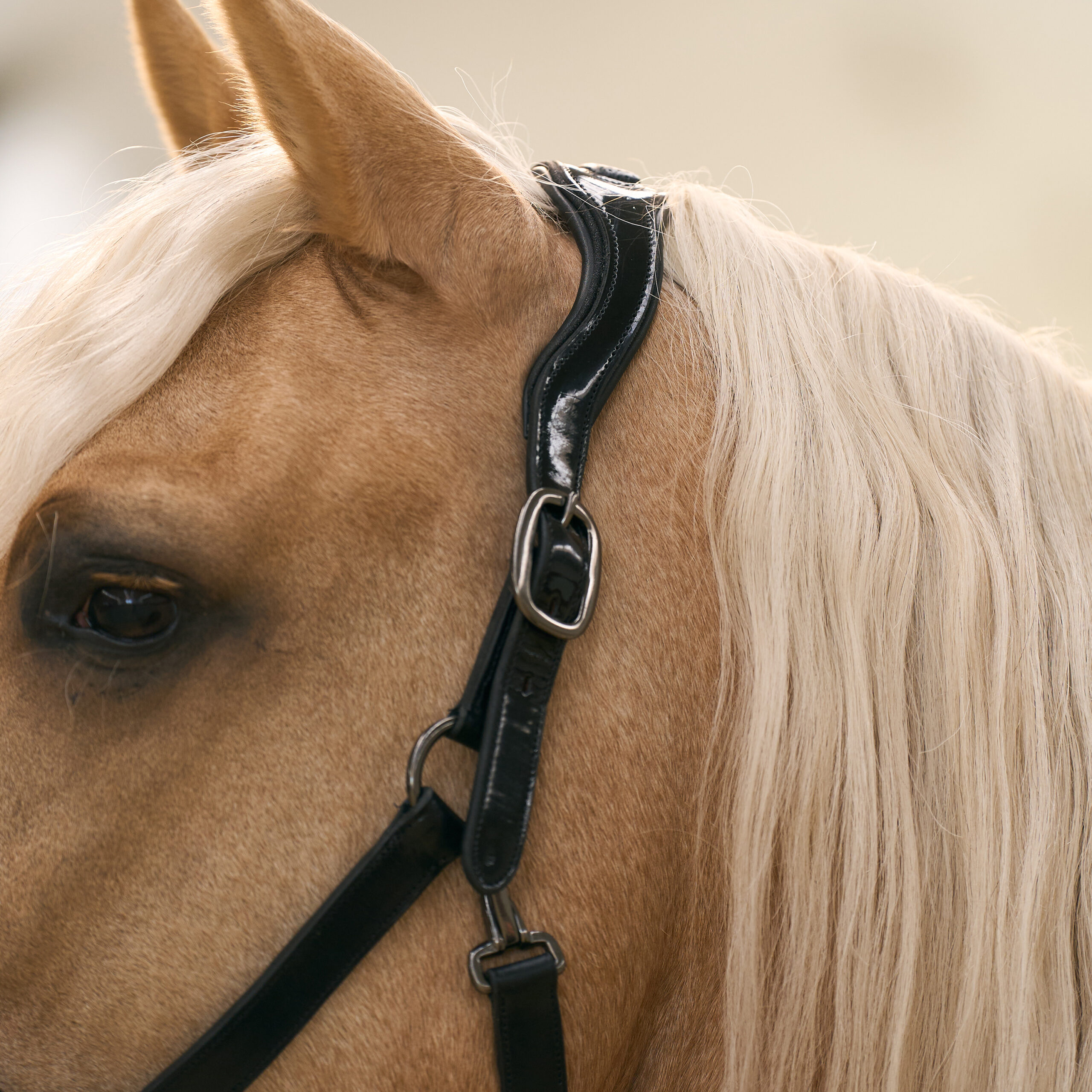 Imperial RidingImperial RidingHalster Hera - Afbeelding 4