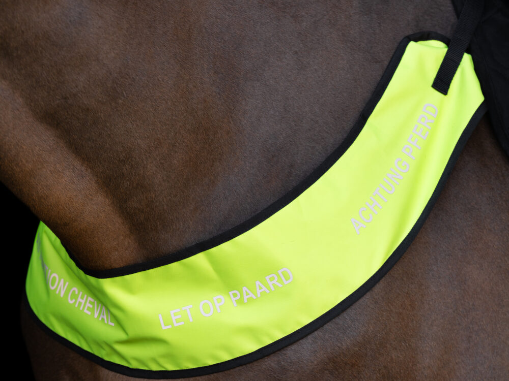 Imperial Riding Imperial Riding Borsttuig Reflective
