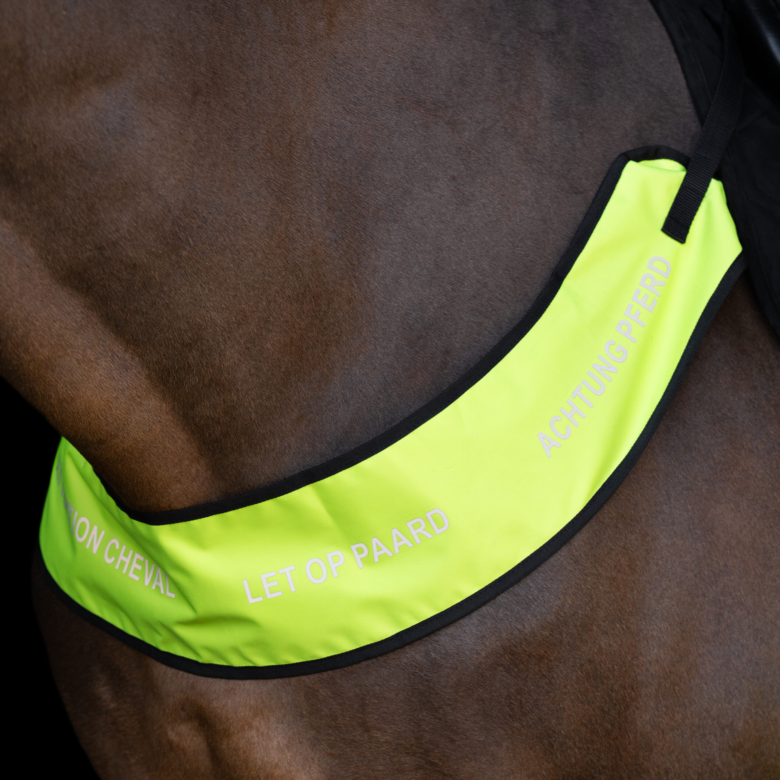 Imperial Riding Imperial Riding Borsttuig Reflective
