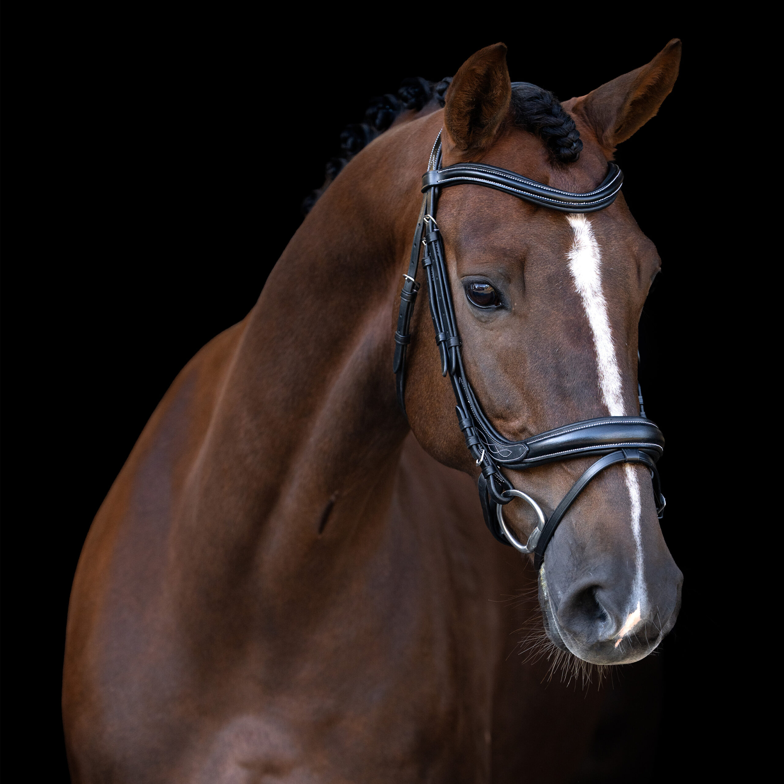 Imperial Riding HO40126001 Product Variation - Afbeelding 5