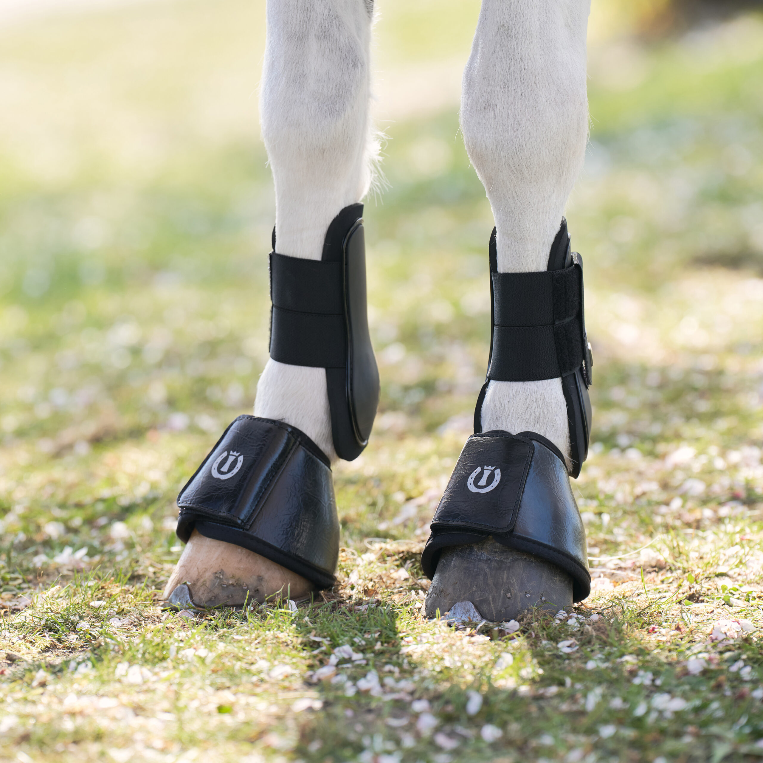 Springschoenen IRHRebel