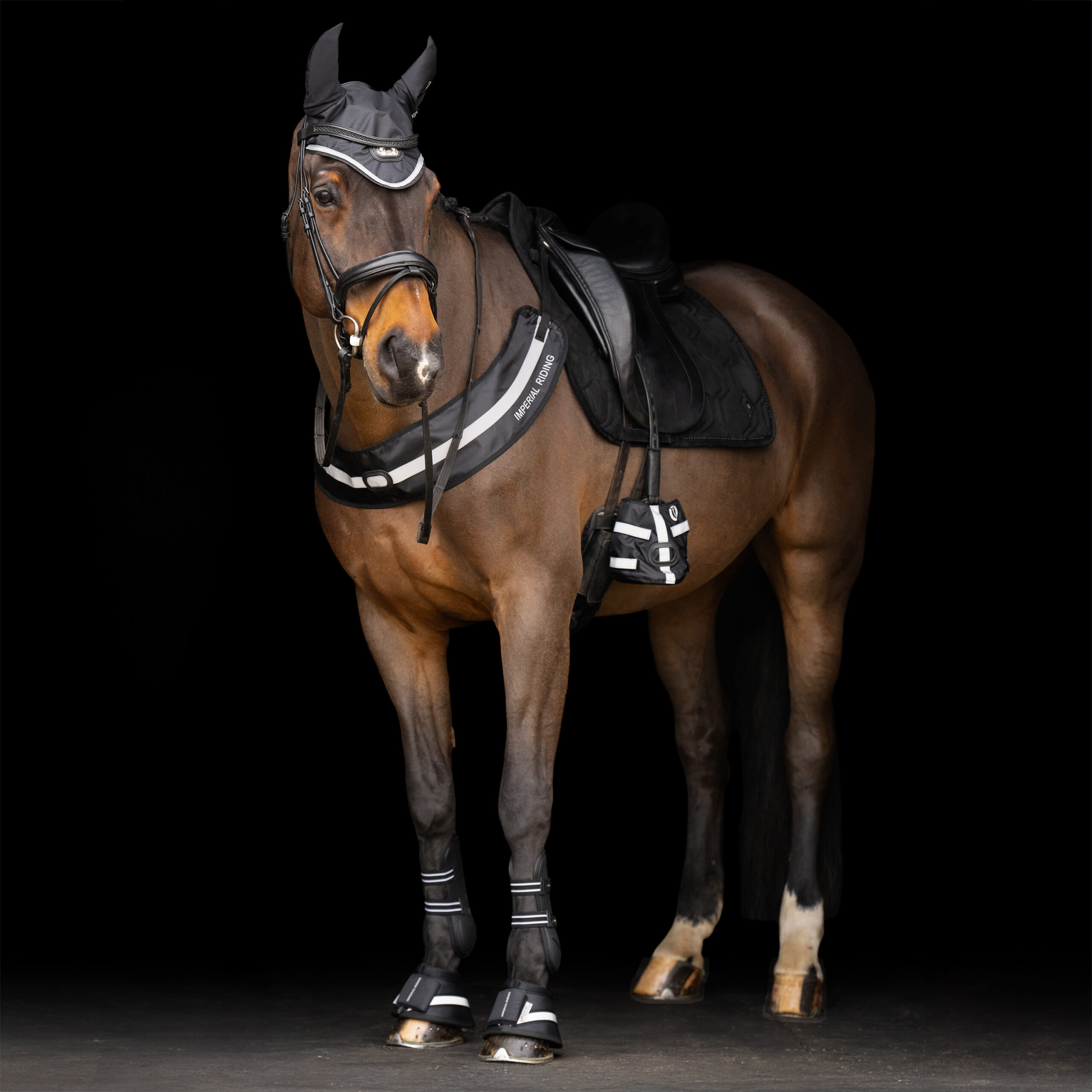 Imperial Riding Oornetje IRHLuminous - Afbeelding 4