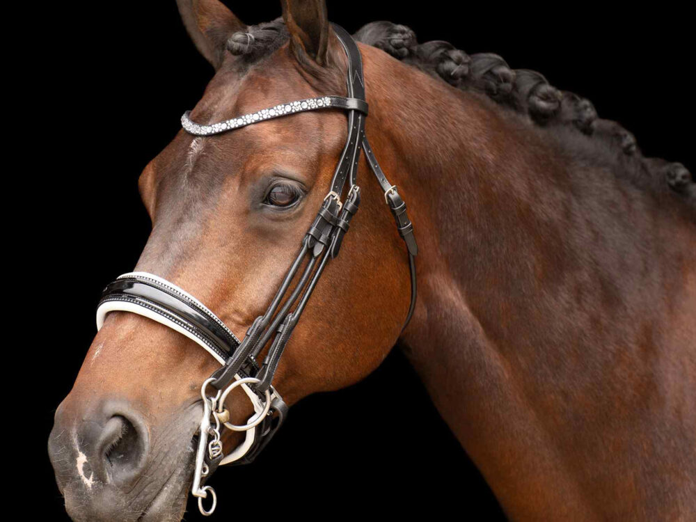 Imperial Riding Hoofdstel stang en trens  Olympia