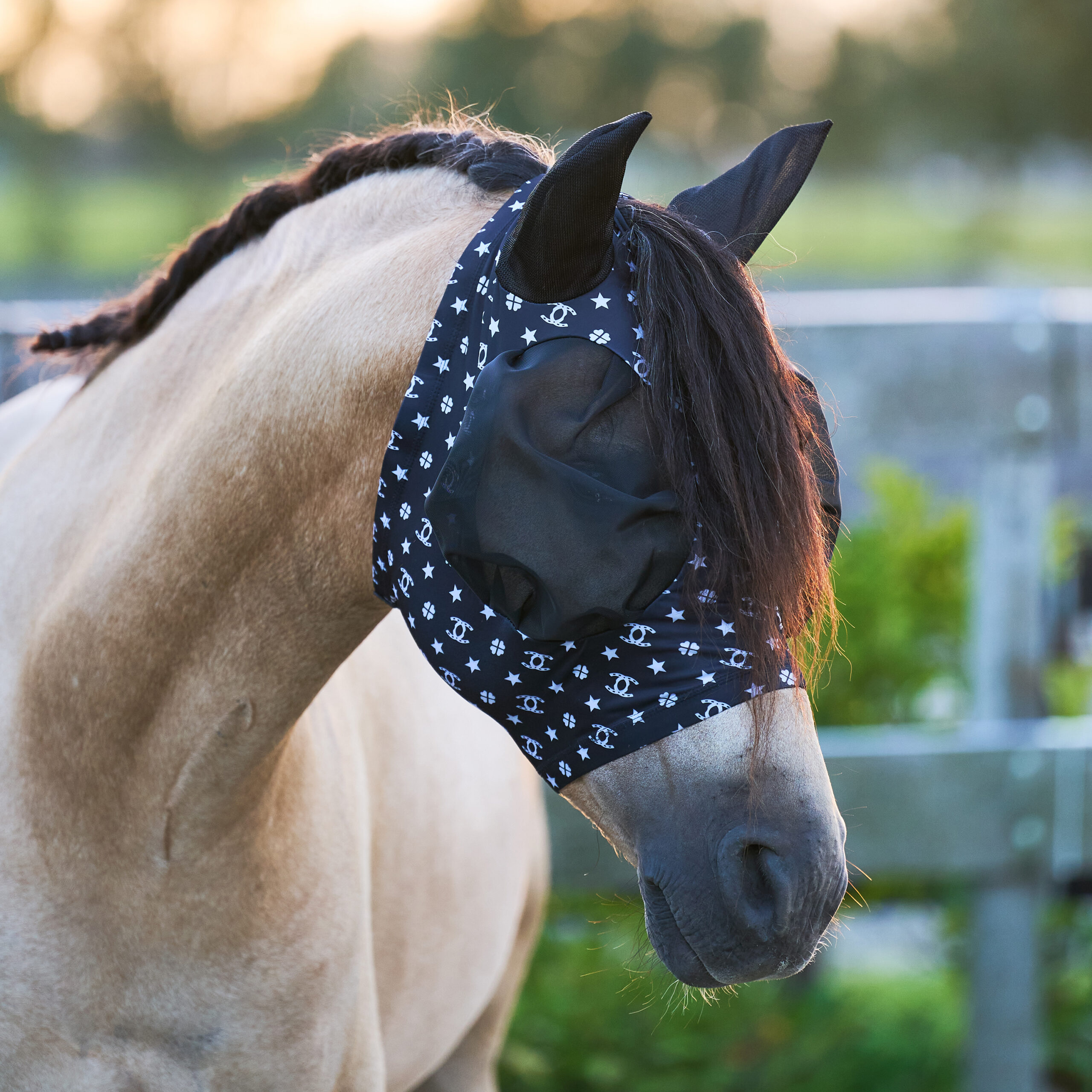 Vliegenmasker IRHTrail ride
