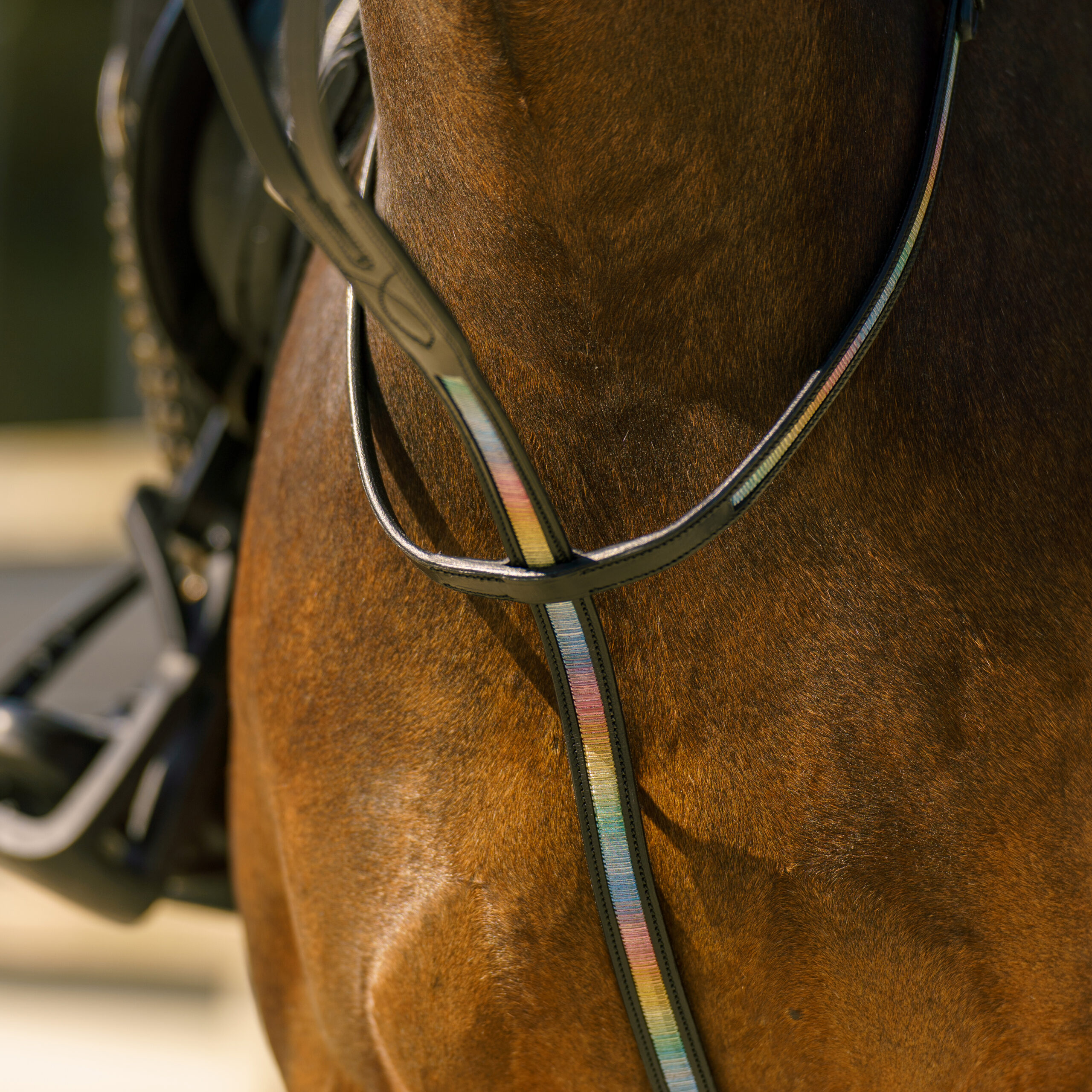 Imperial Riding Martingaal IRHRainbow - Afbeelding 2