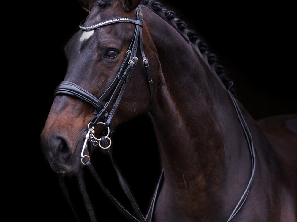 Imperial Riding Hoofdstel stang en trens  Fria