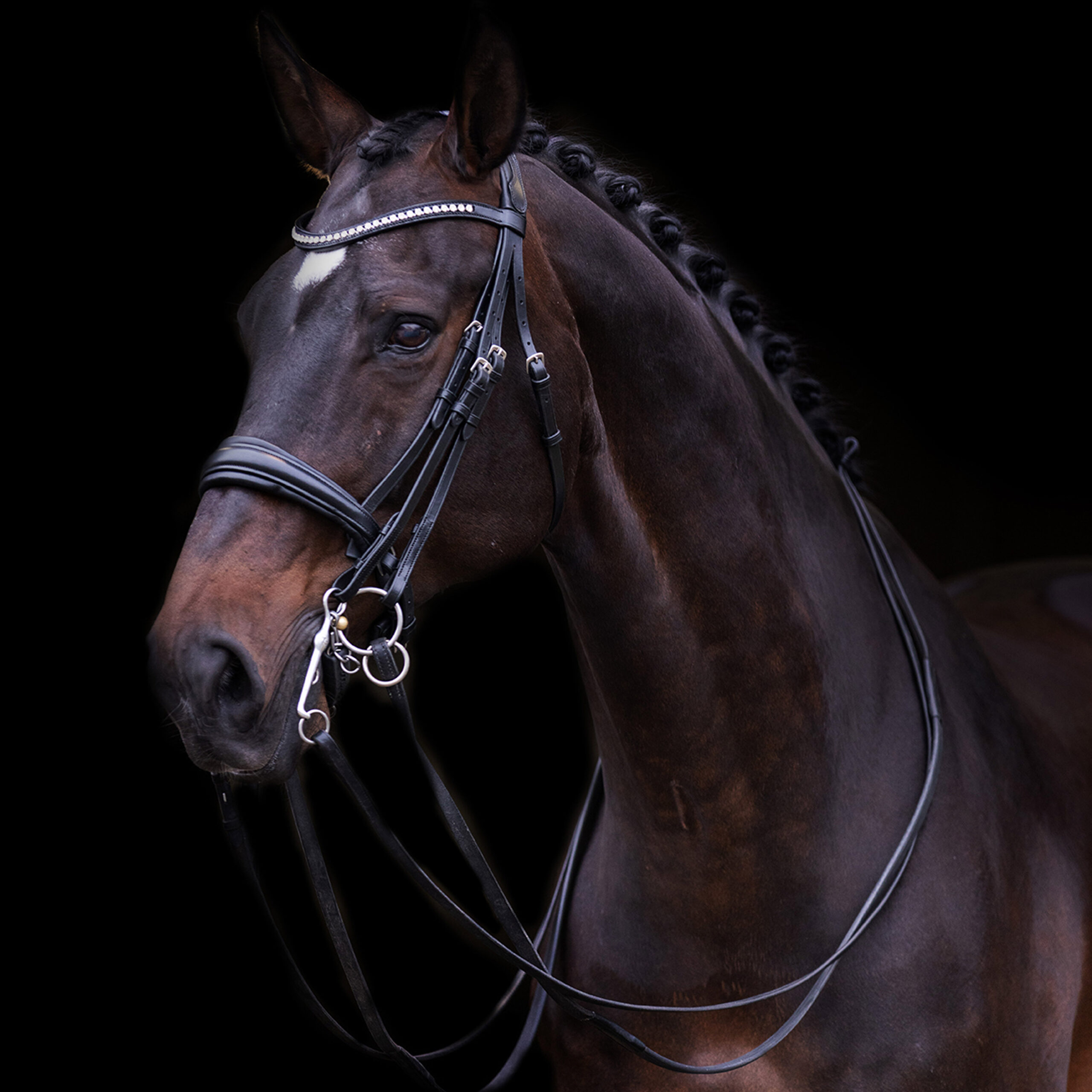 Imperial Riding Hoofdstel stang en trens Fria