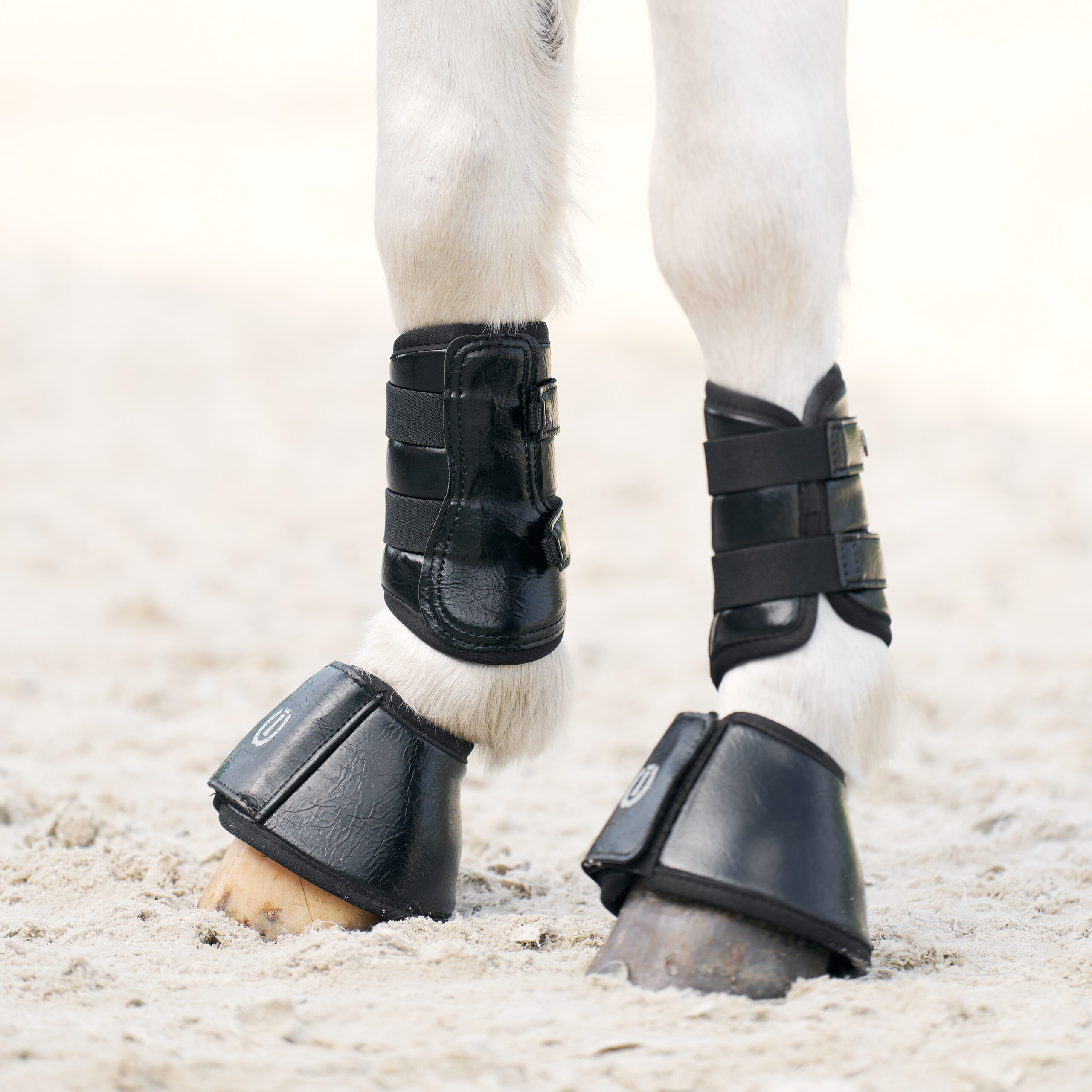 Springschoenen IRHRebel - Afbeelding 2